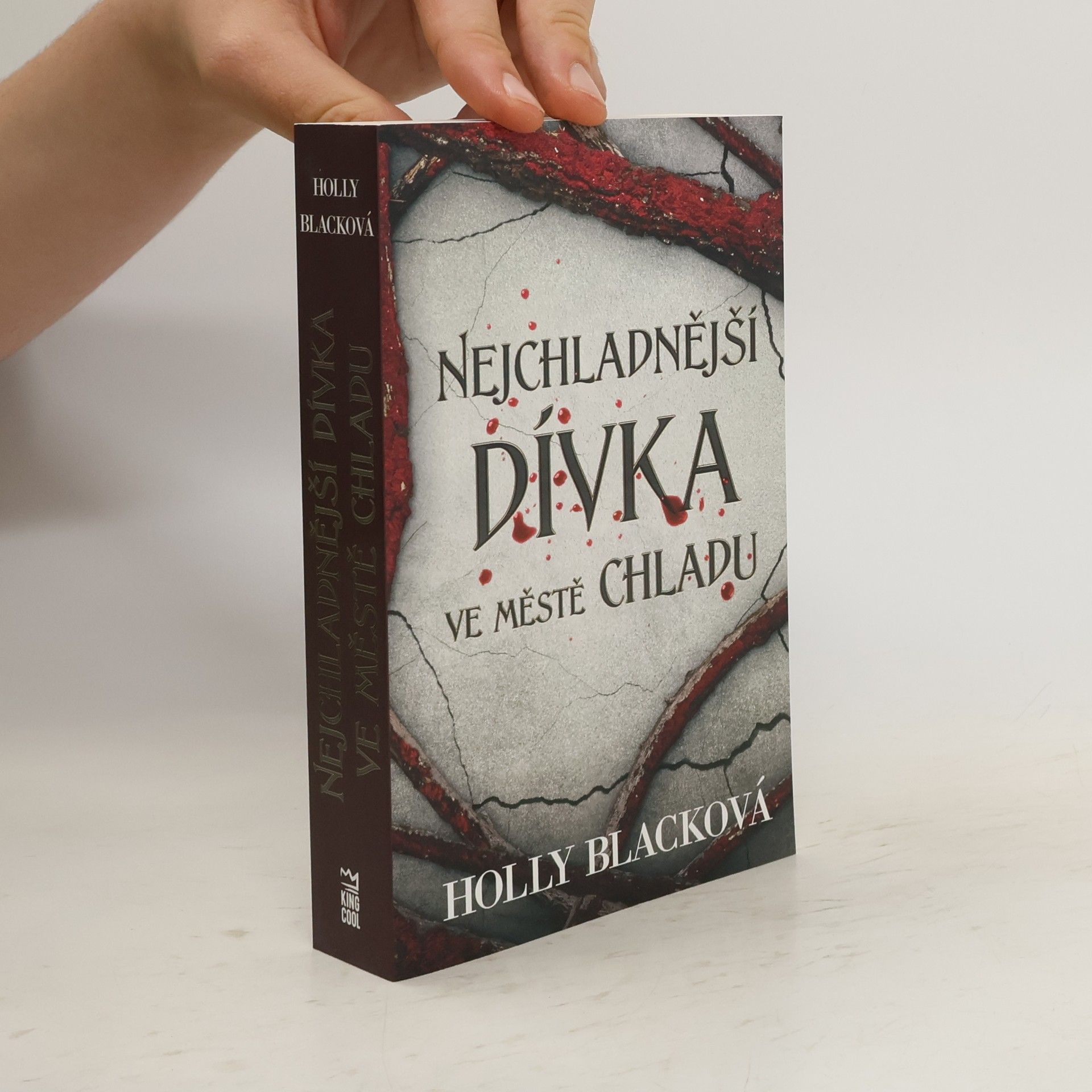 Holly Black Nejchladnější dívka ve městě chladu