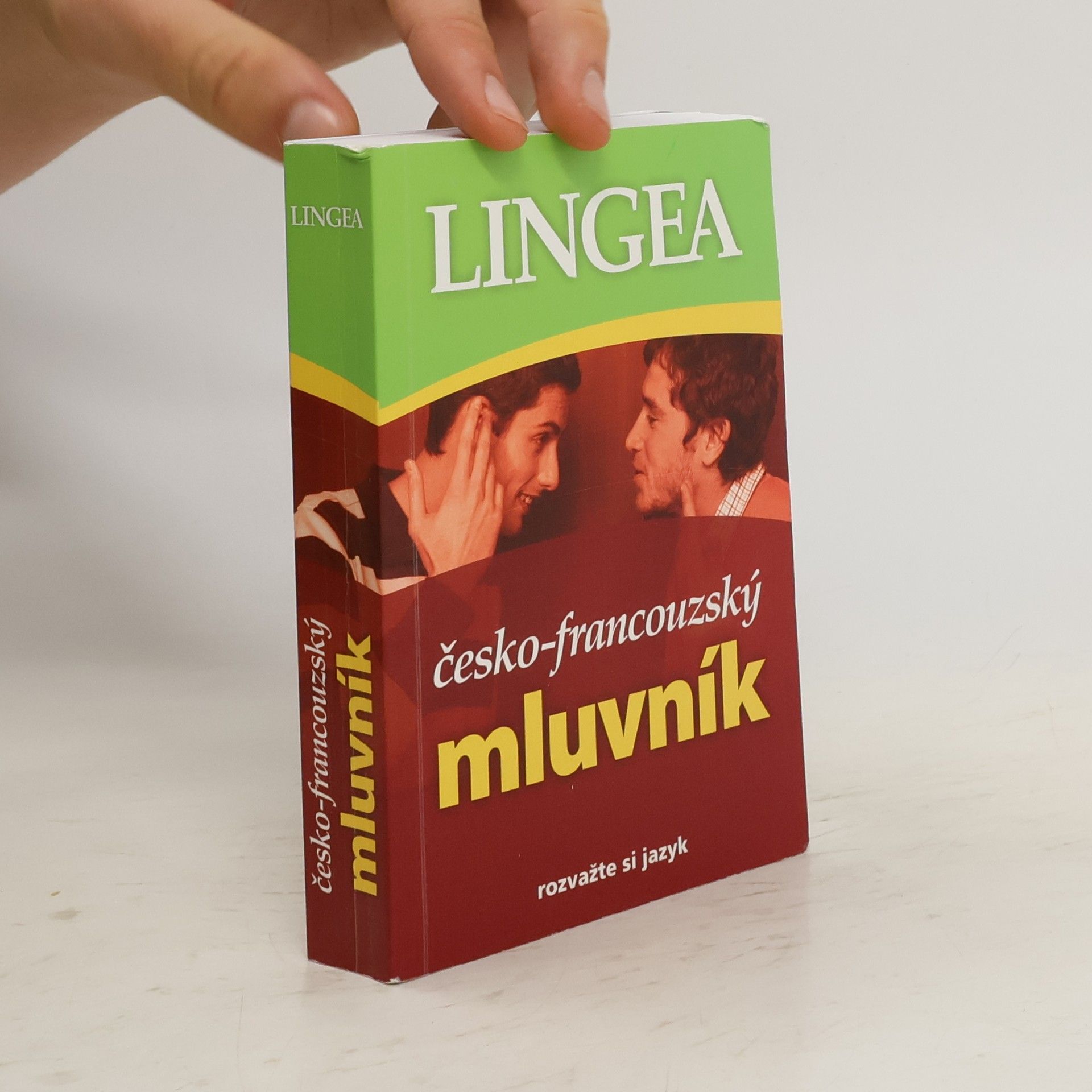 Various authors Česko-francouzský mluvník