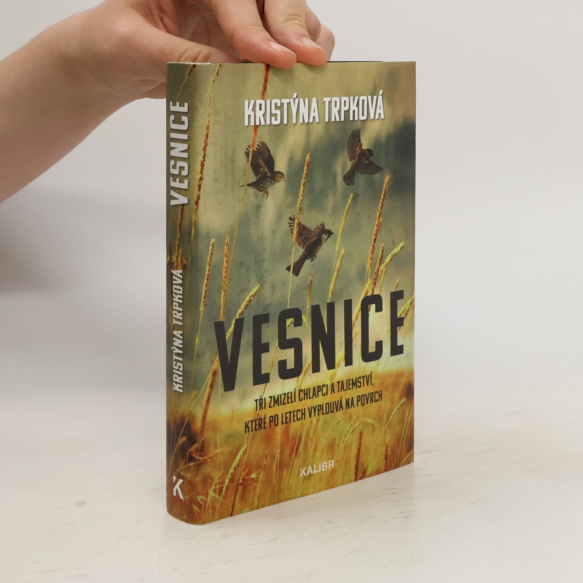 Kristýna Trpková Vesnice