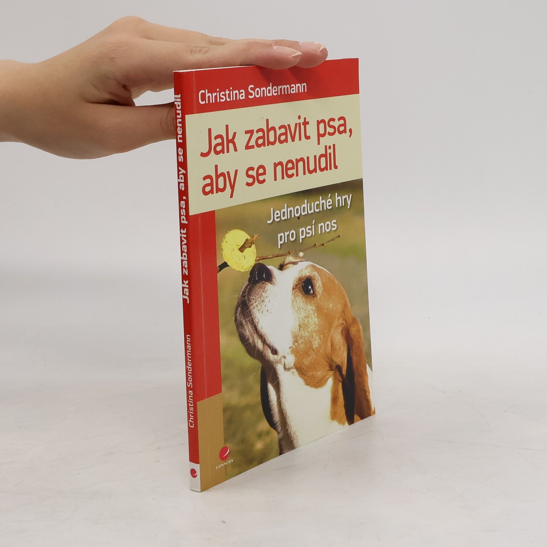 Christina Sondermann Jak zabavit psa, aby se nenudil : jednoduché hry pro psí nos