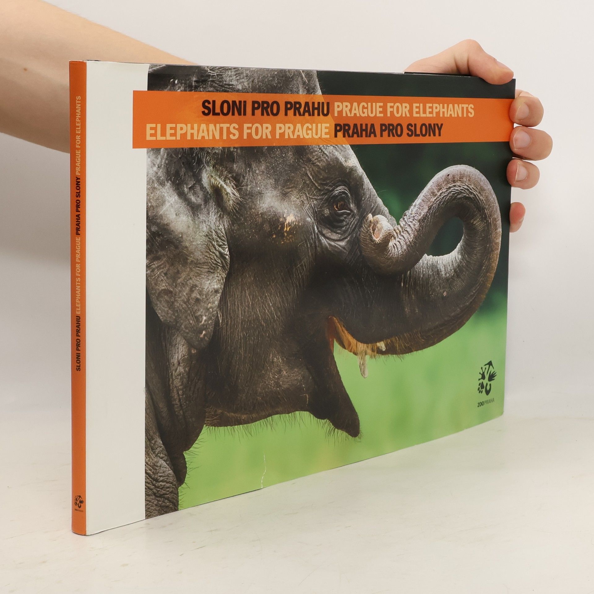 Miroslav Bobek Sloni pro Prahu, Praha pro slony / Prague for elephants, elephanths for Prague