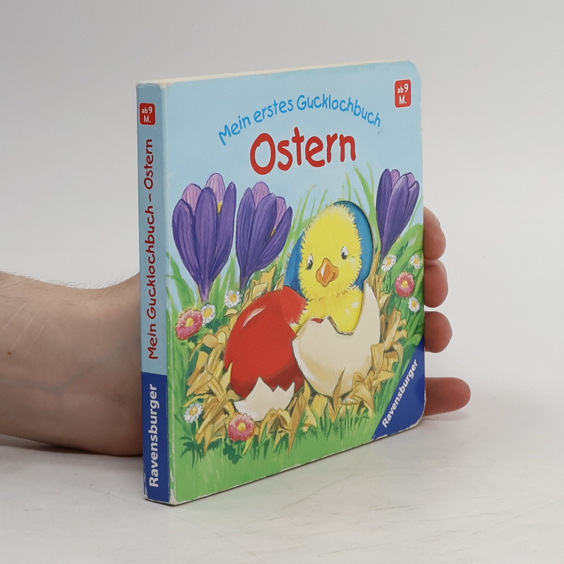 Antje Flad Mein erstes Gucklochbuch - Ostern