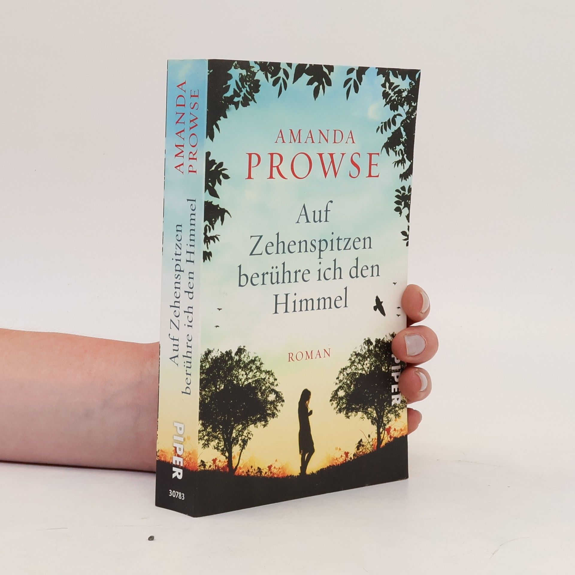 Amanda Prowse Auf Zehenspitzen berühre ich den Himmel