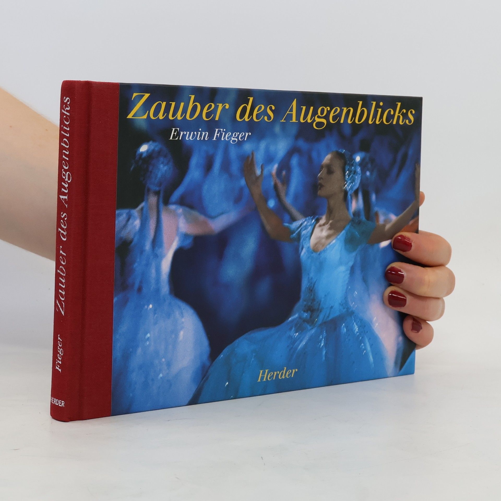 Erwin Fieger Zauber des Augenblicks