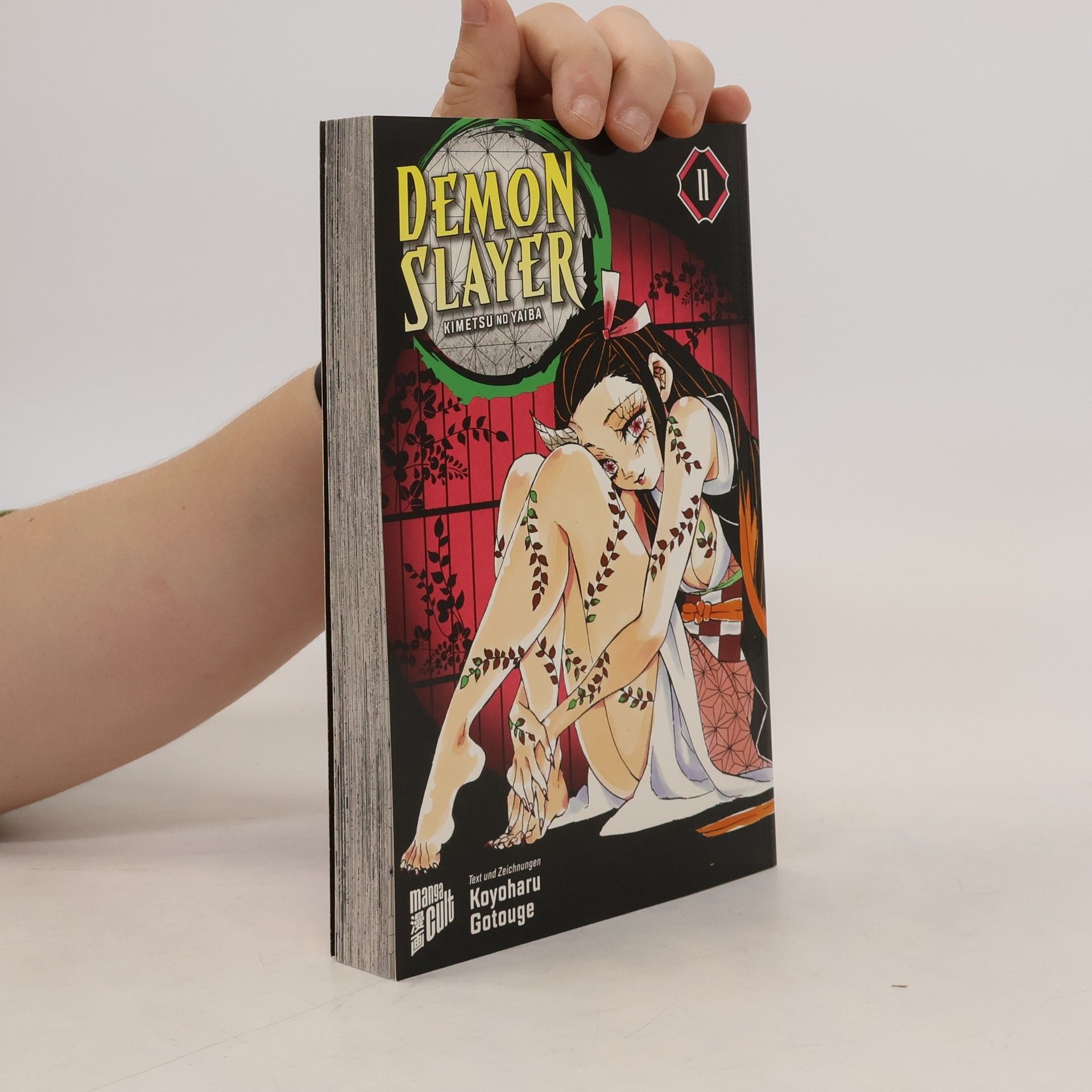 Koyoharu Gotōge Demon Slayer 11