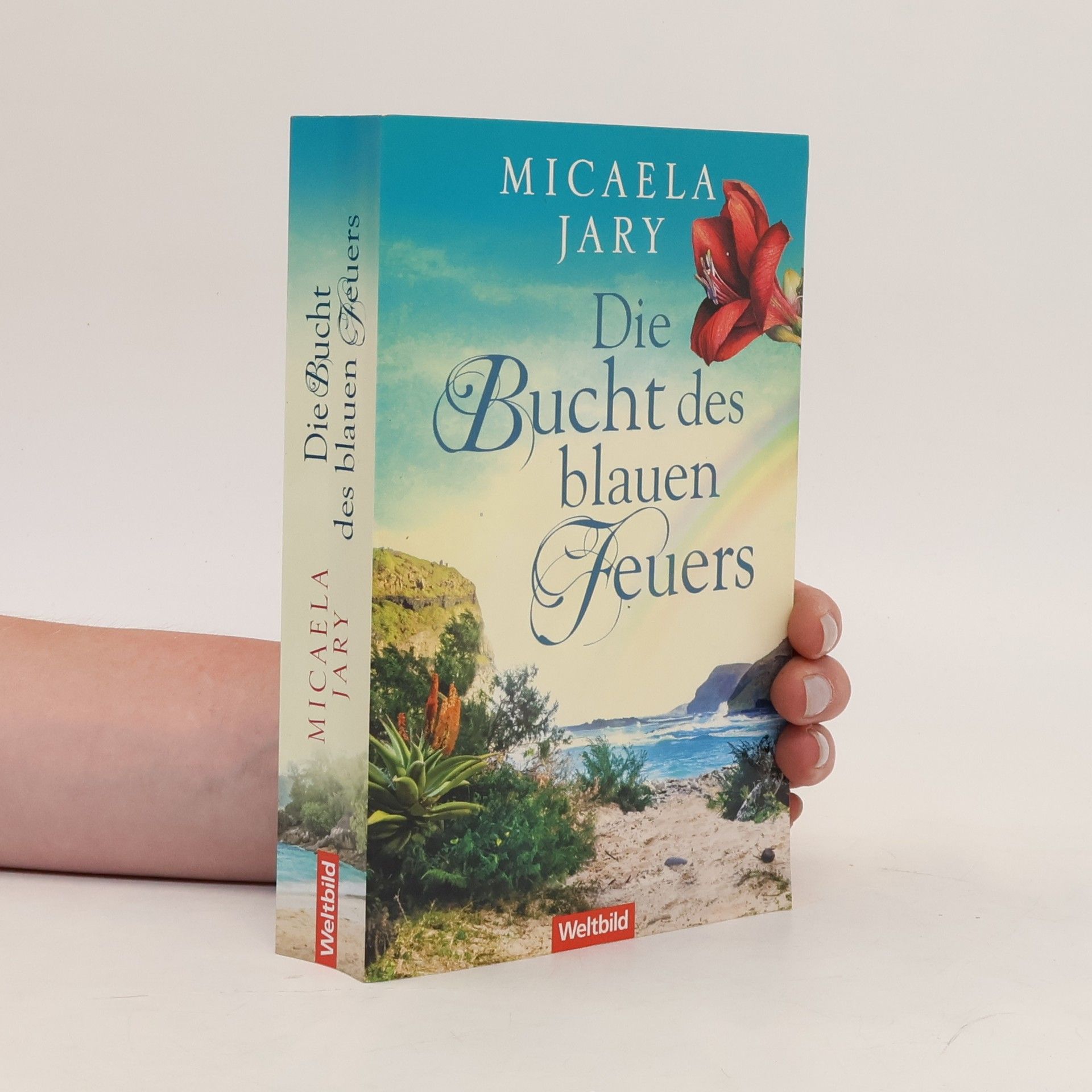 Micaela Jary Die Bucht des blauen Feuers