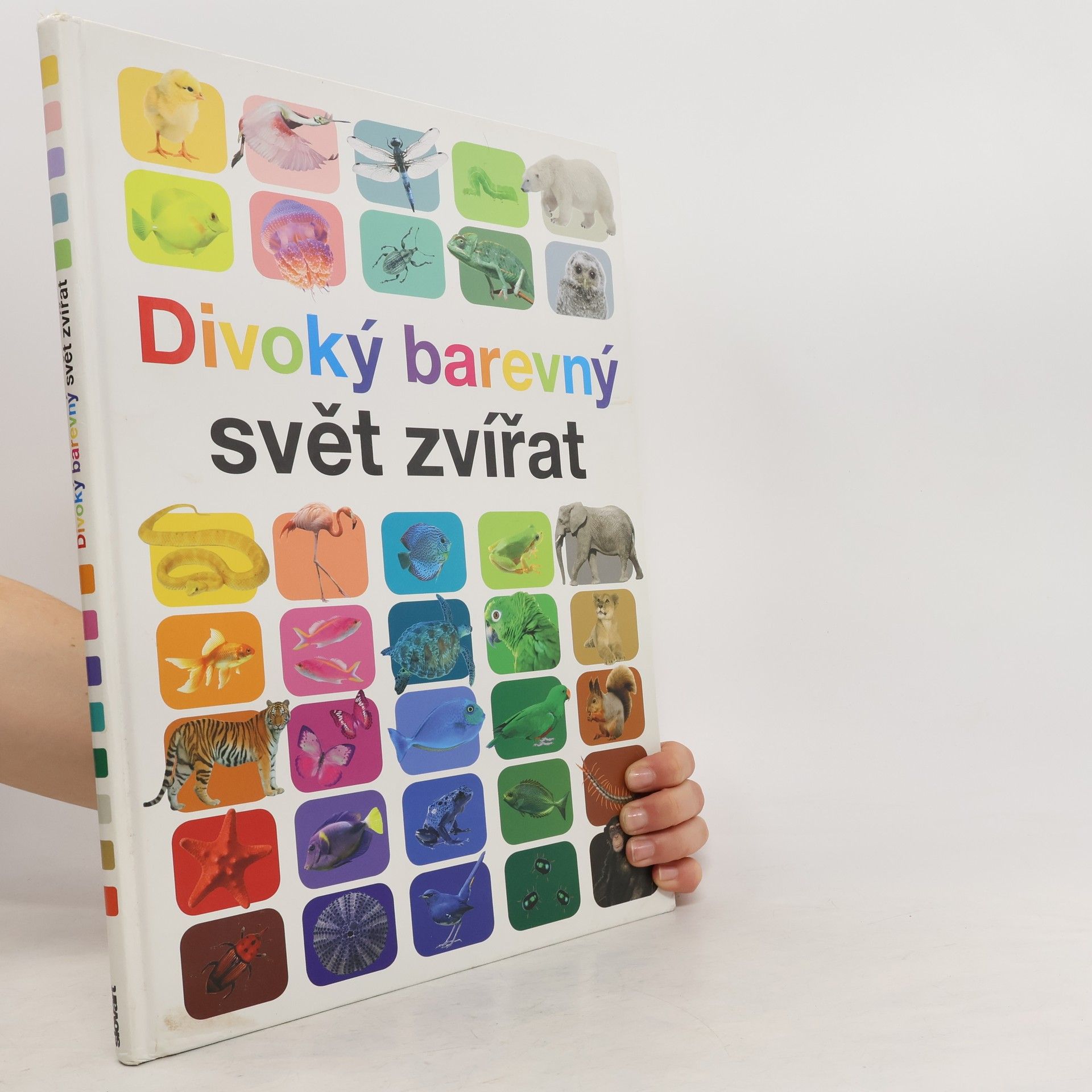 Anita Ganeri Divoký barevný svět zvířat