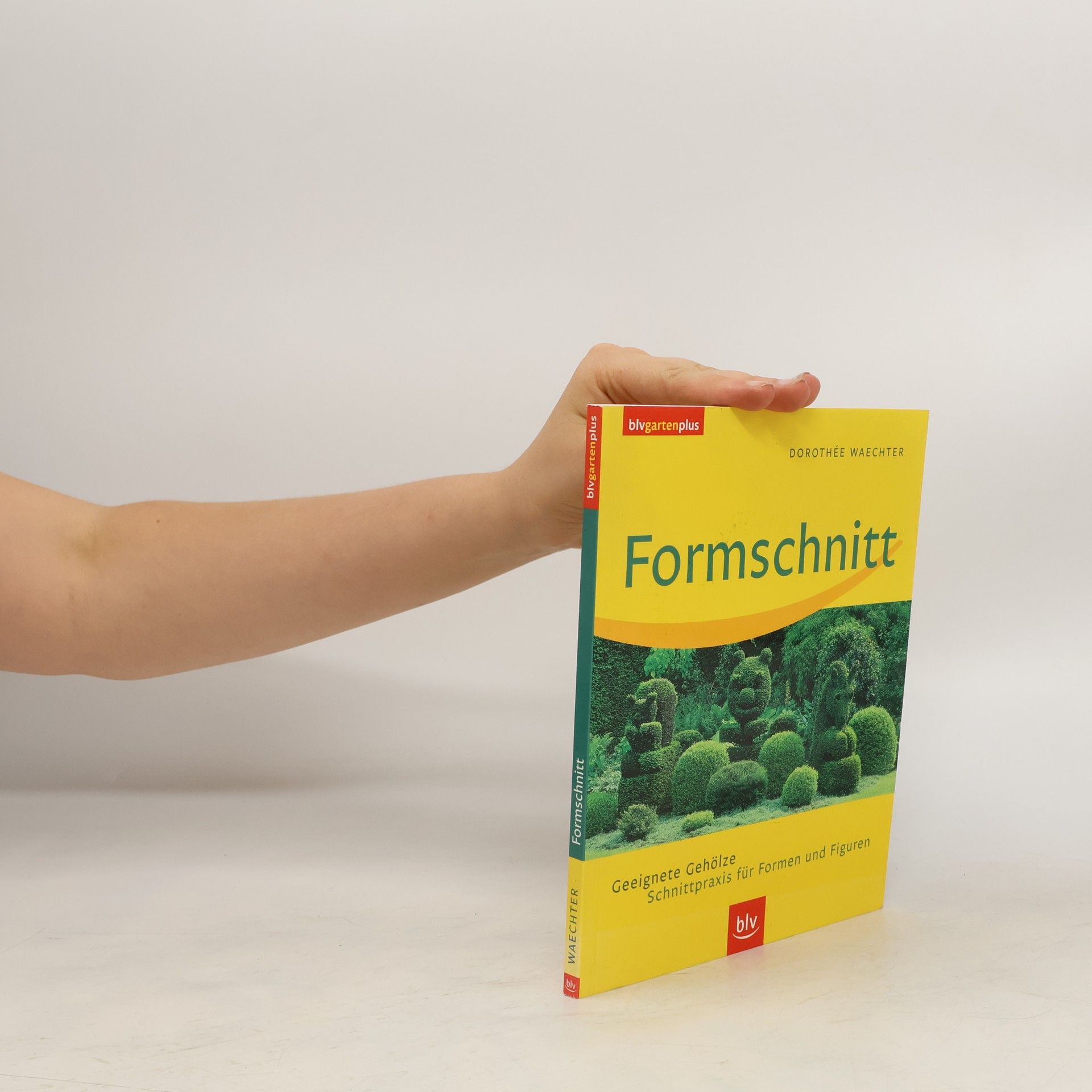 Dorothée Waechter Formschnitt