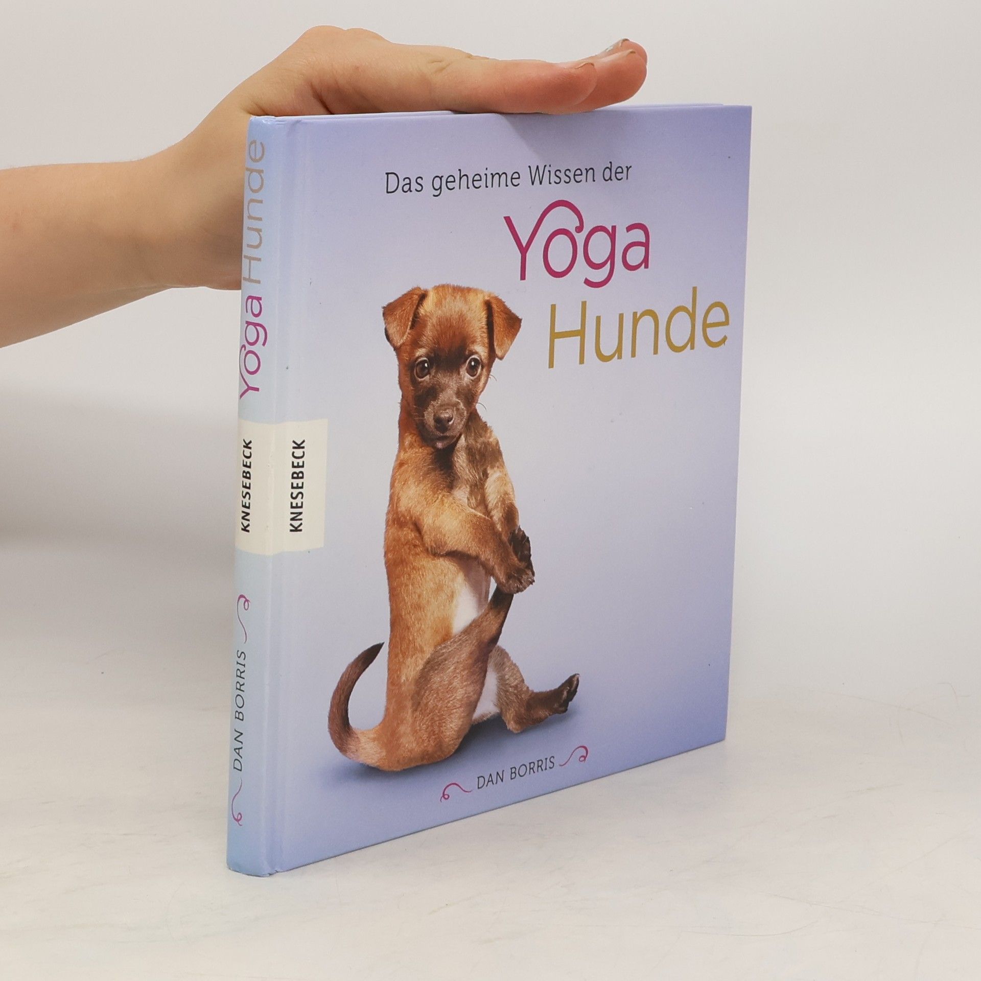 Dan Borris Das geheime Wissen der Yoga-Hunde