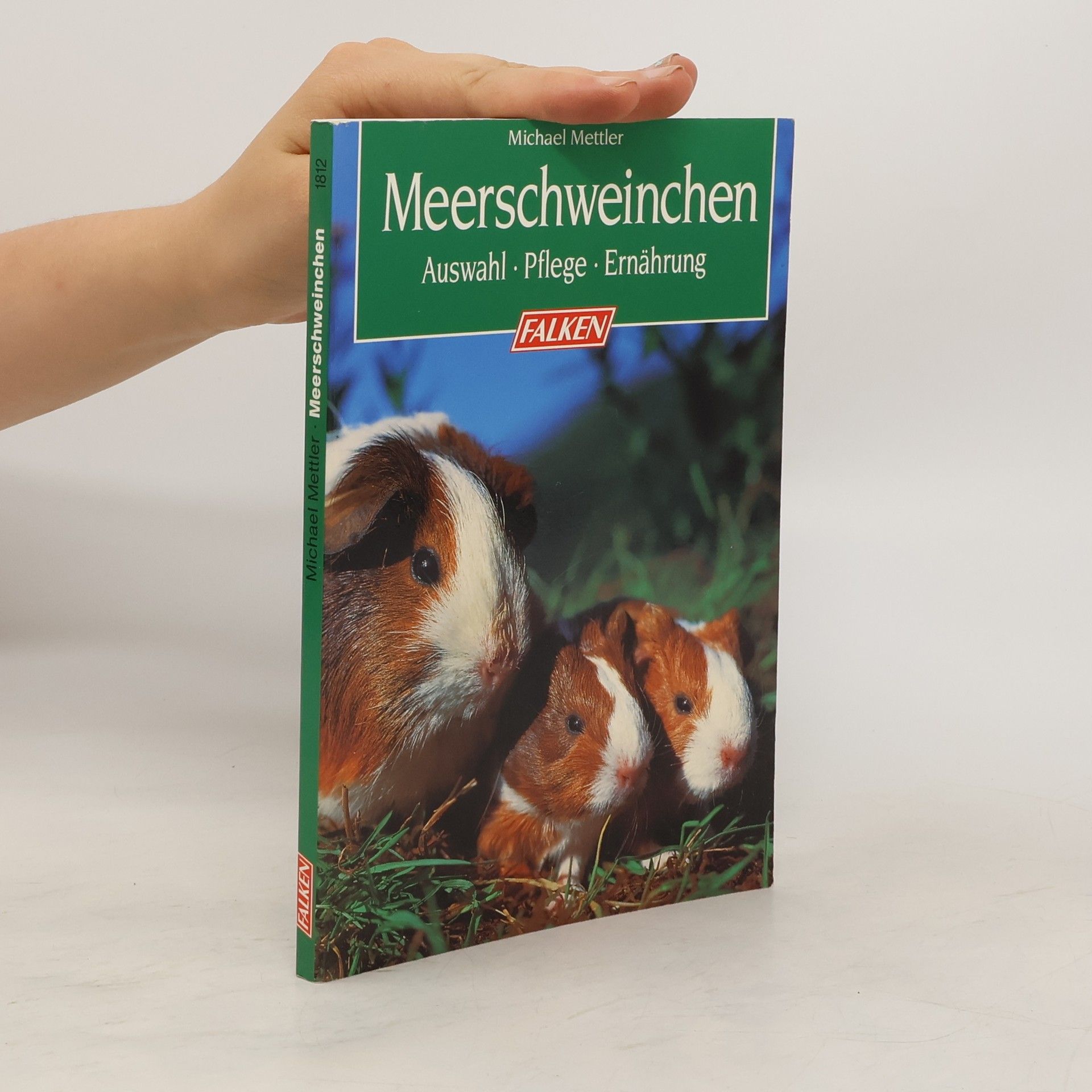 Michael Mettler Meerschweinchen