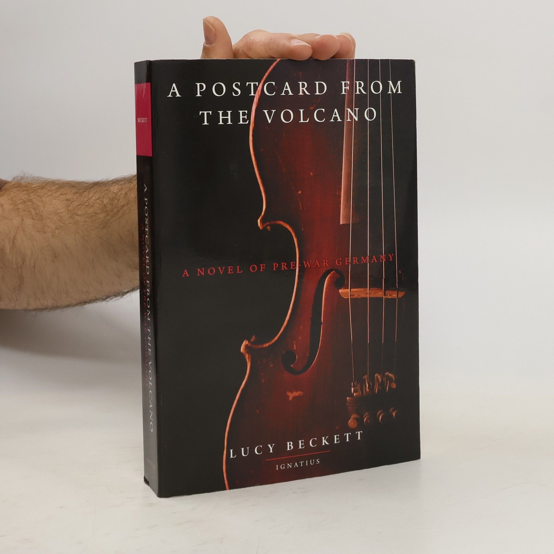 Lucy Beckett A Postcard from the Volcano