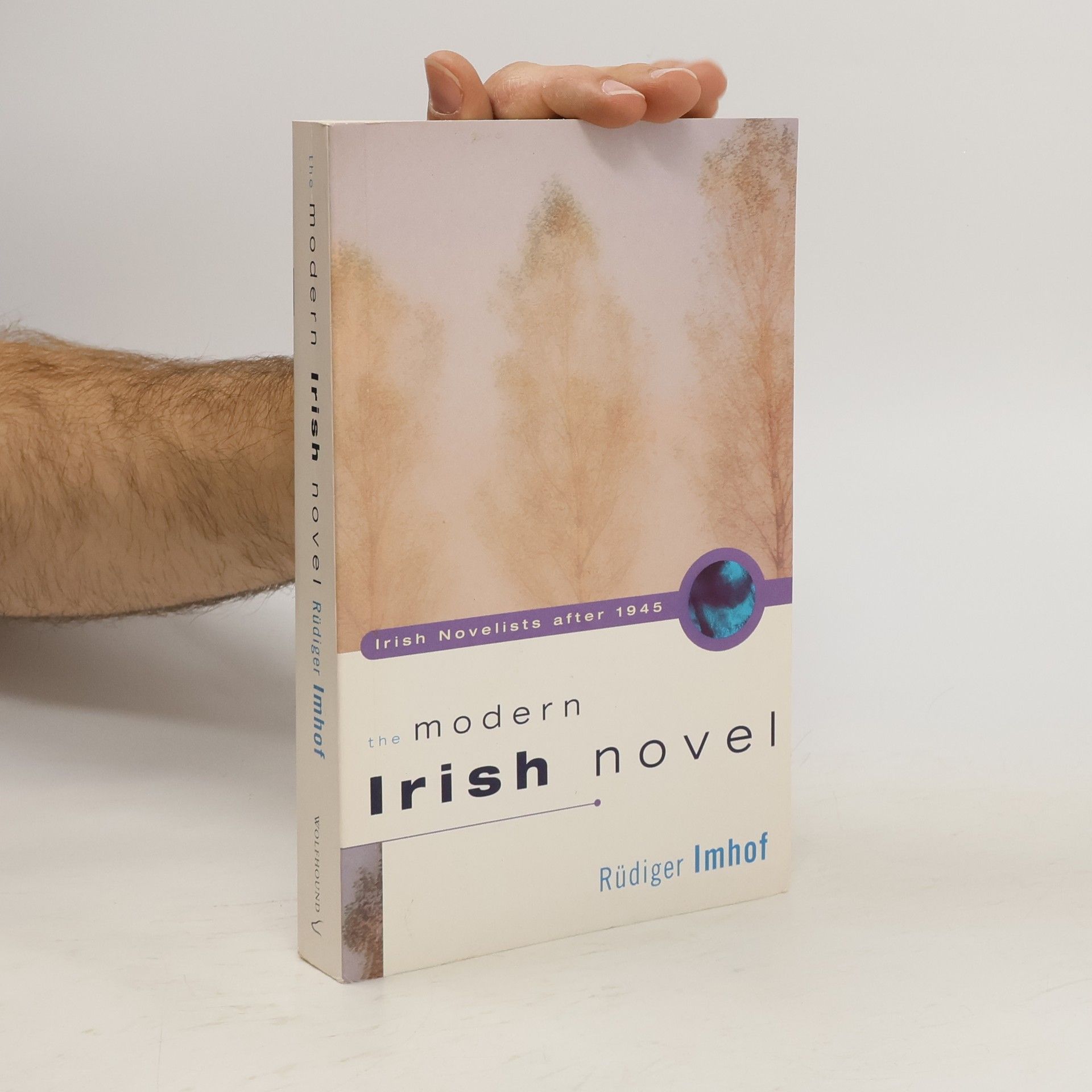 Rüdiger Imhof The Modern Irish Novel
