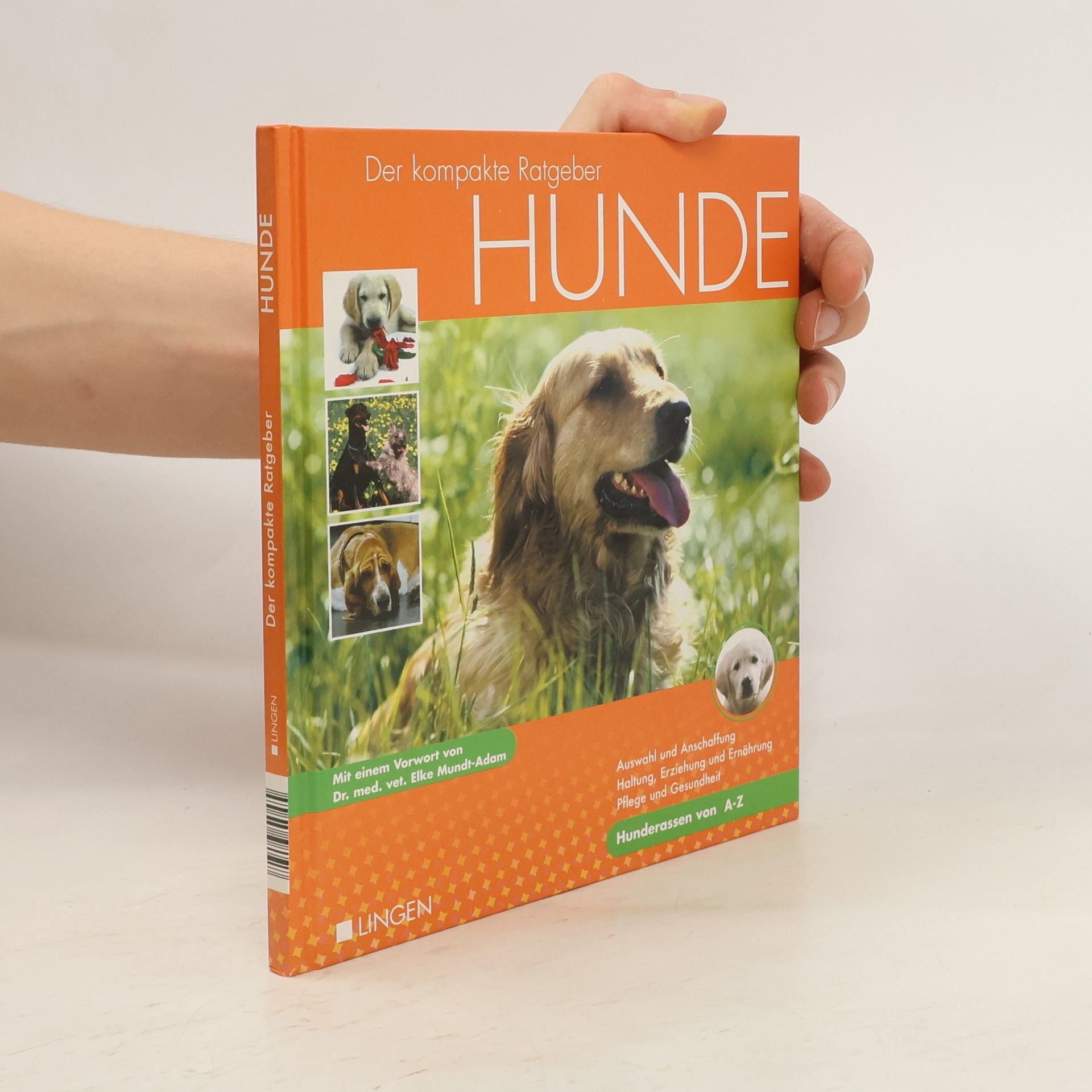 Collectif d'auteurs Der kompakte Ratgeber. Hunde