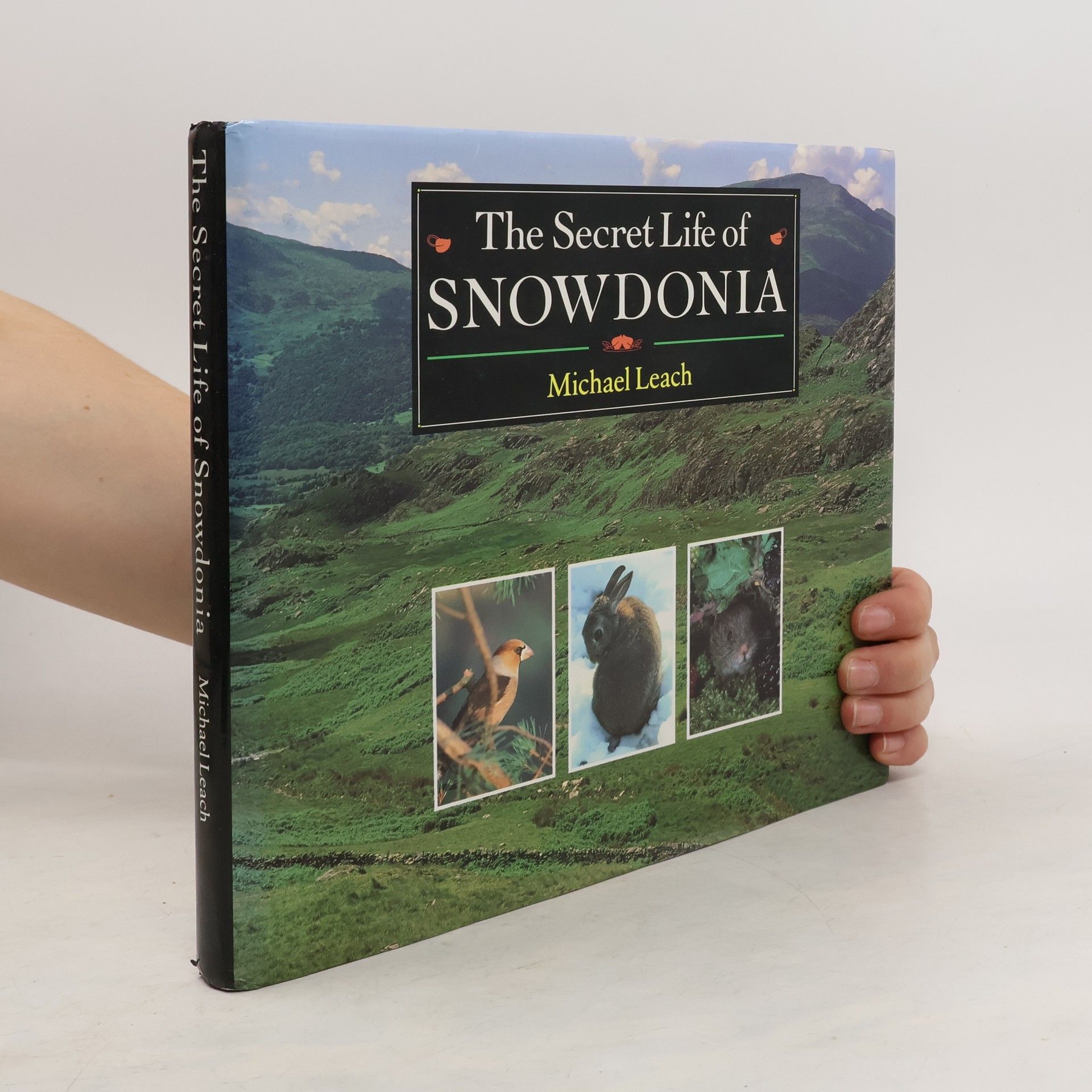 Michael Leach The Secret Life of Snowdonia