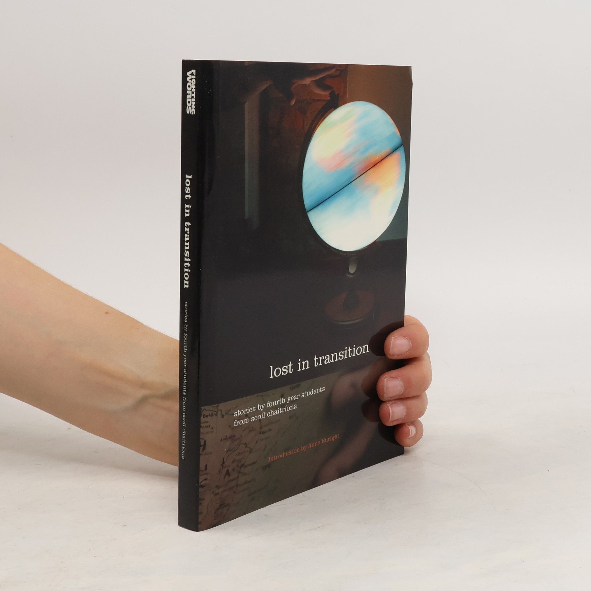 Kolektív autorov Lost in Transition