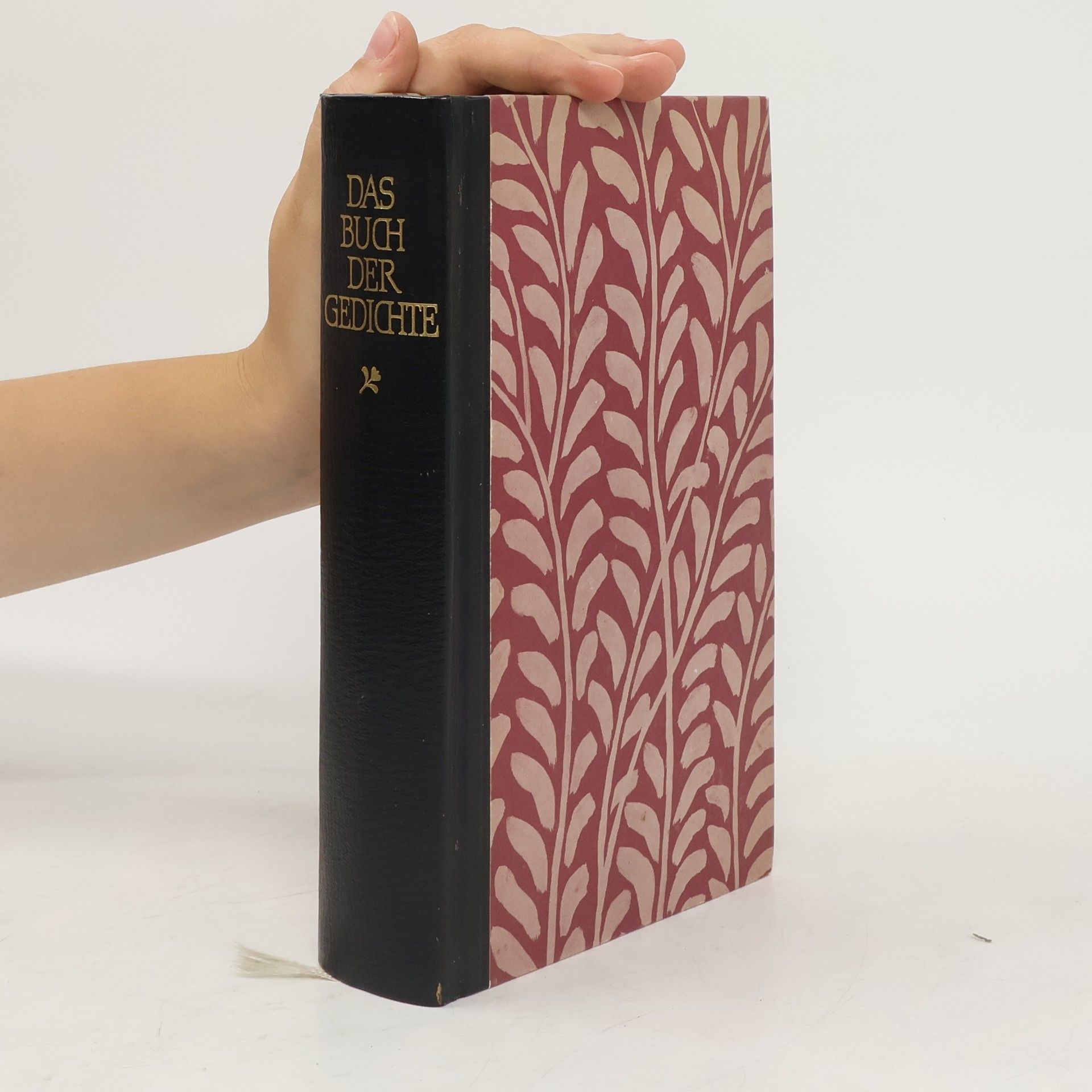 Marianne Hochhuth Das Buch der Gedichte