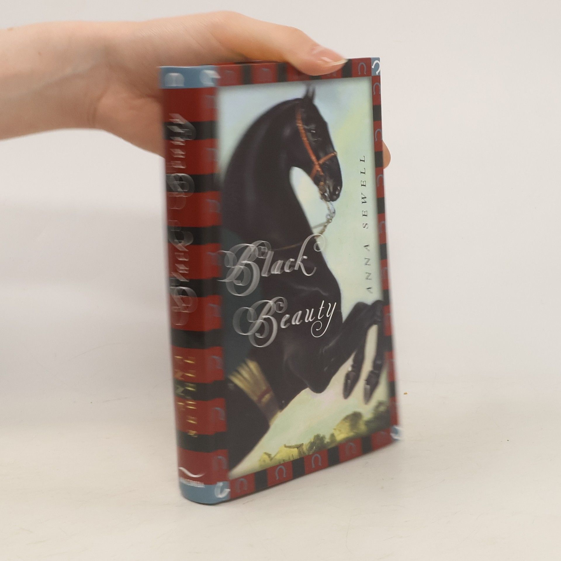 Anna Sewel Black Beauty