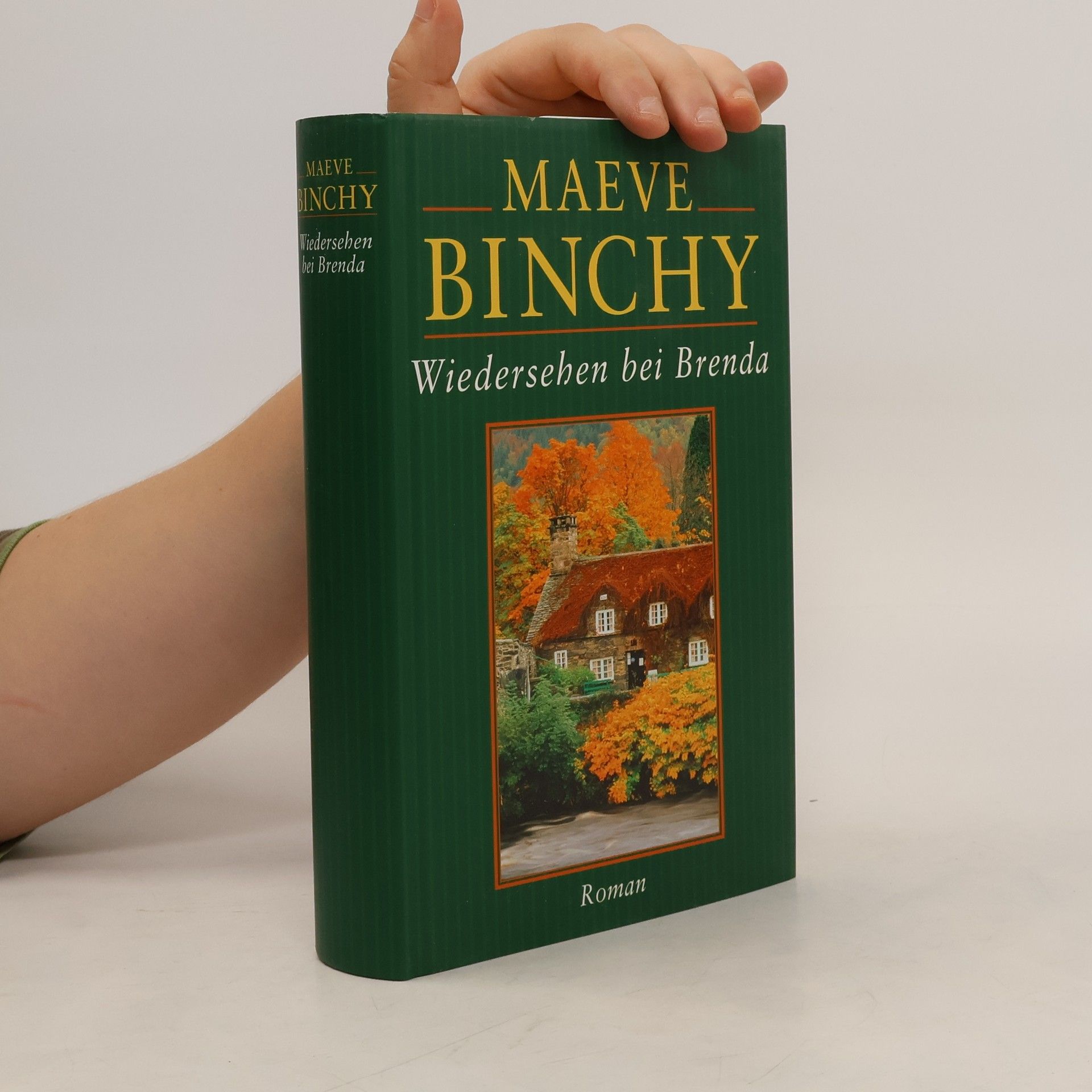 Maeve Binchy Wiedersehen bei Brenda