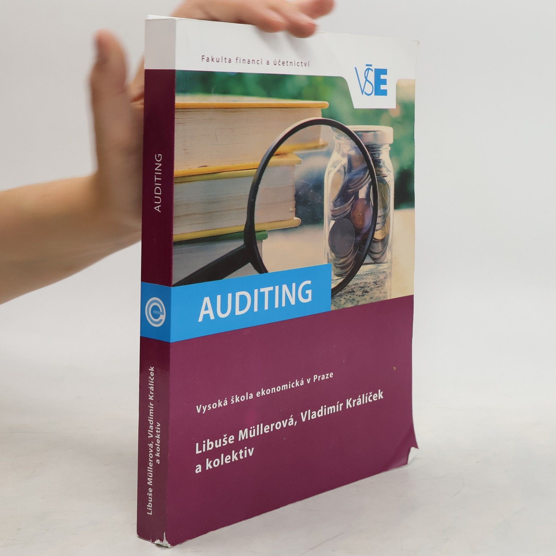 Libuše Müllerová Auditing