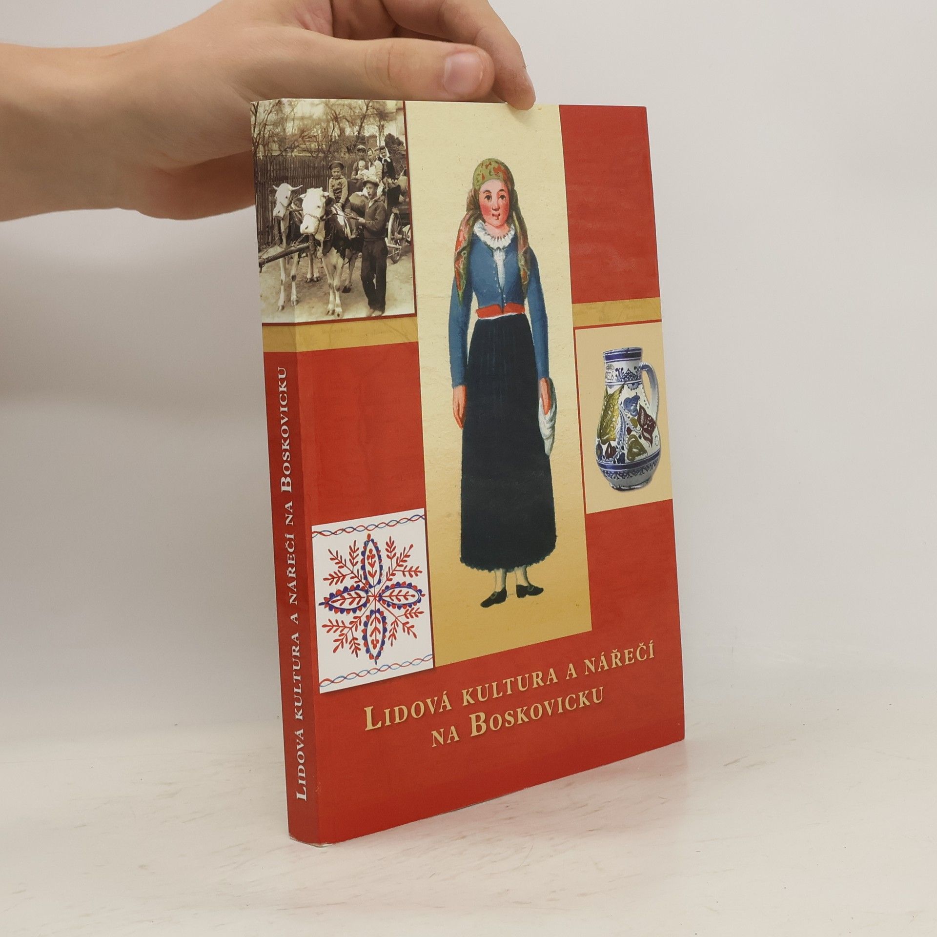 Collectif d'auteurs Lidová kultura a nářečí na Boskovicku