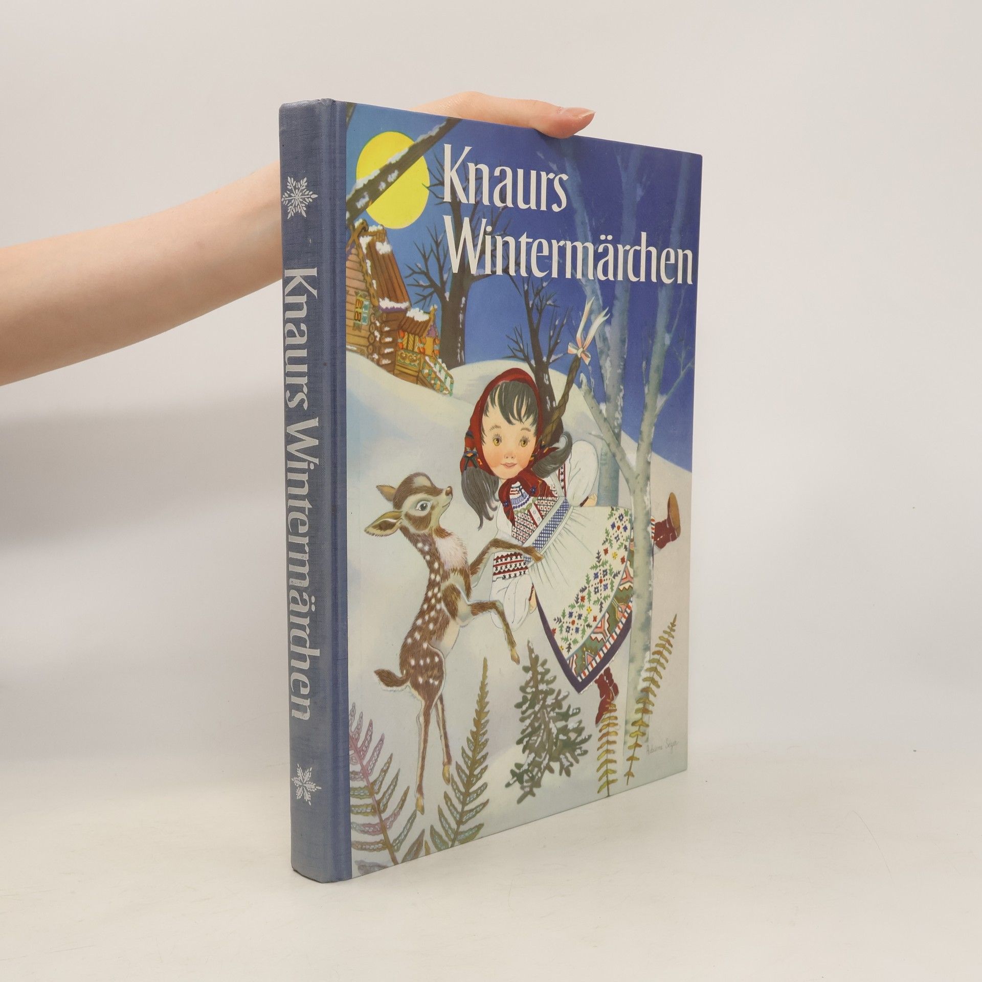 AA.VV. Knaurs Wintermärchen