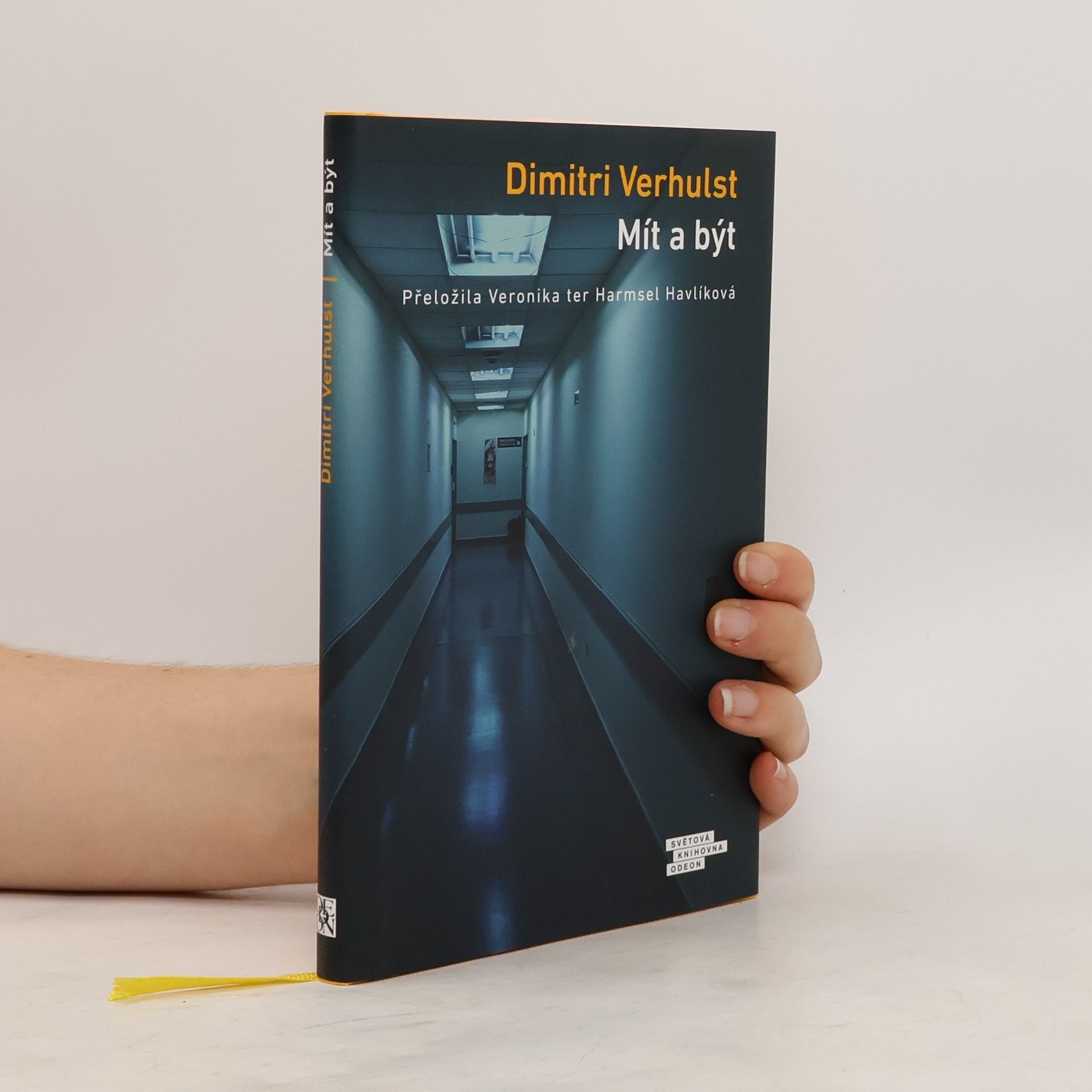Dimitri Verhulst Mít a být