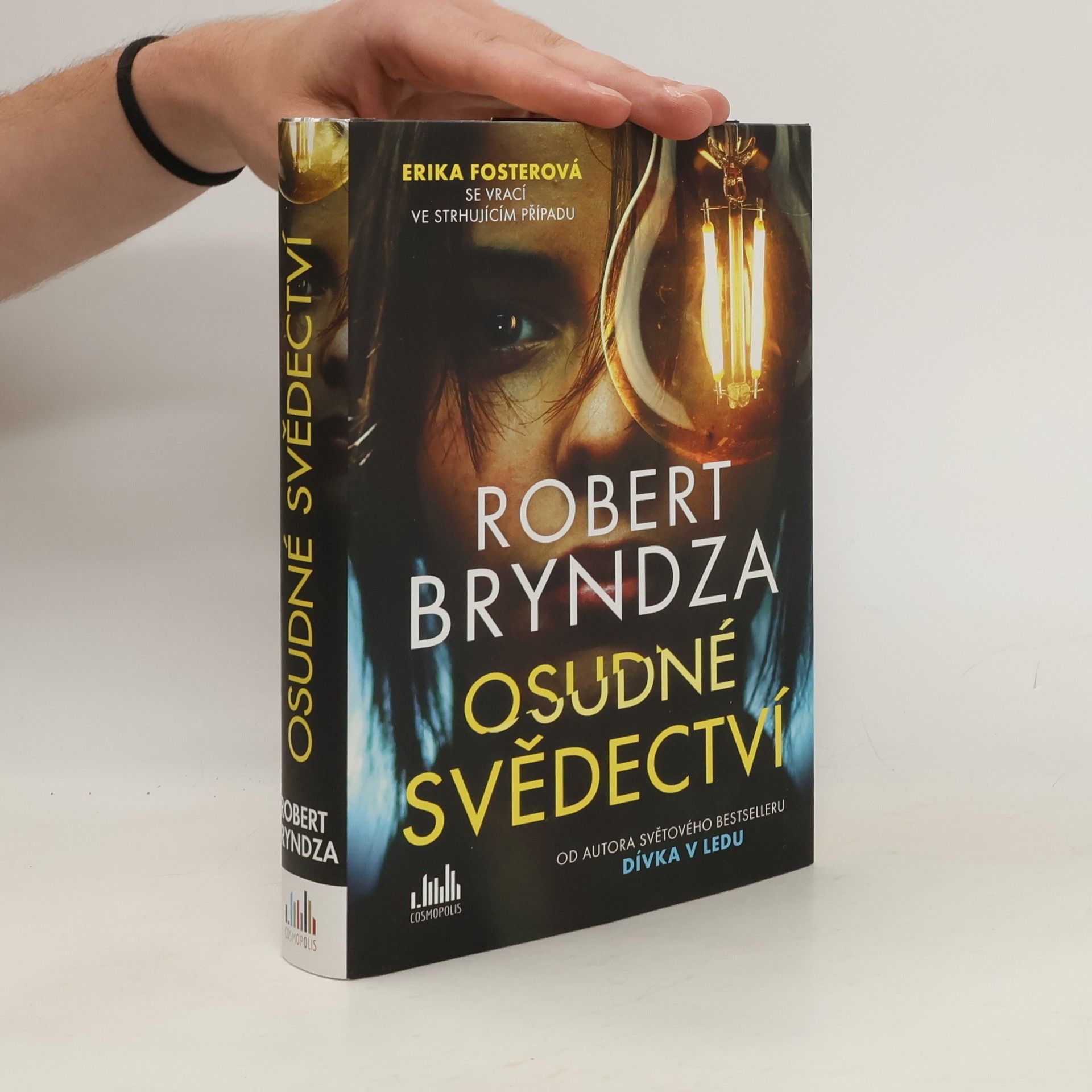 Robert Bryndza Osudné svědectví