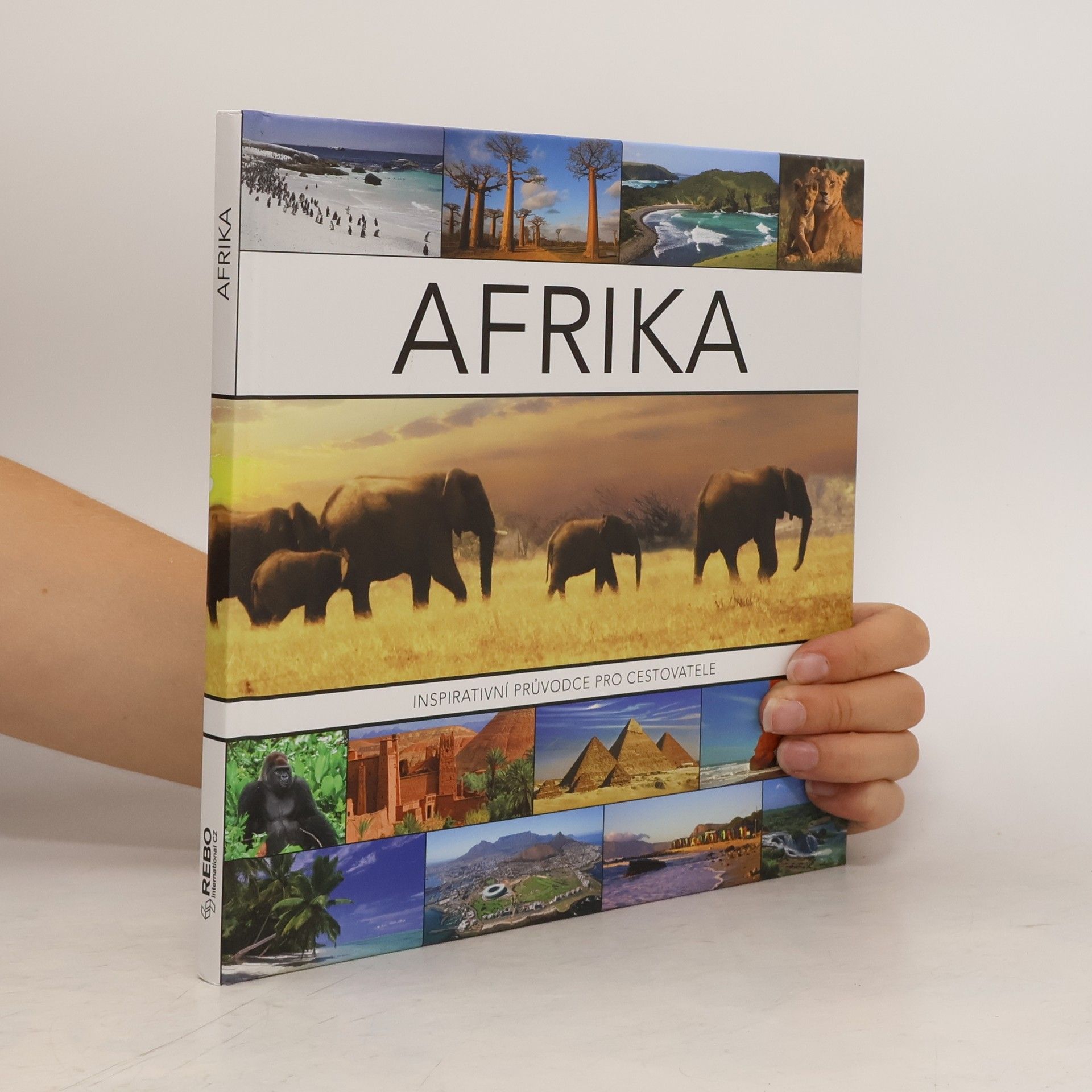 Joyce Koster Afrika