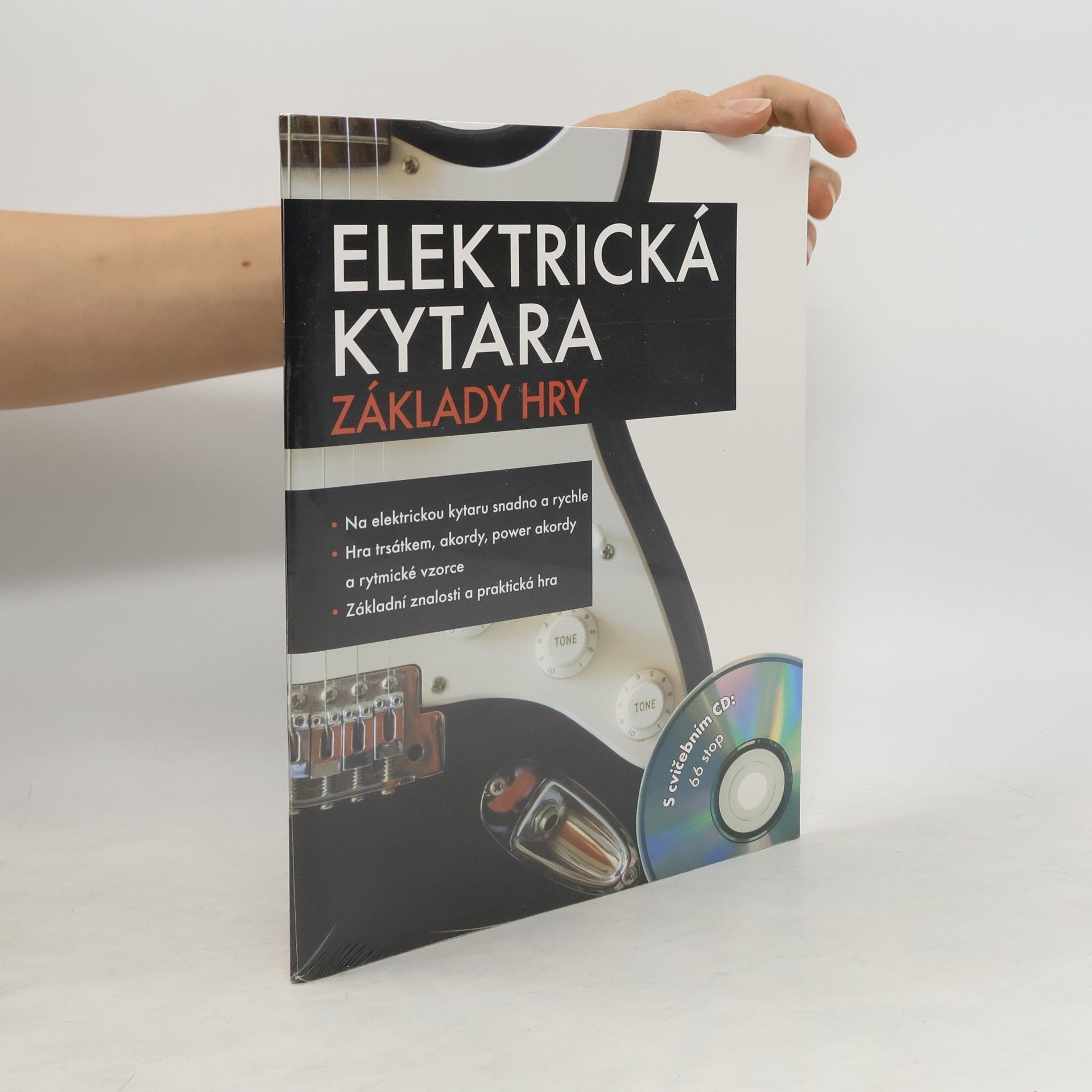 Franz Walter Elektrická kytara. Základy hry