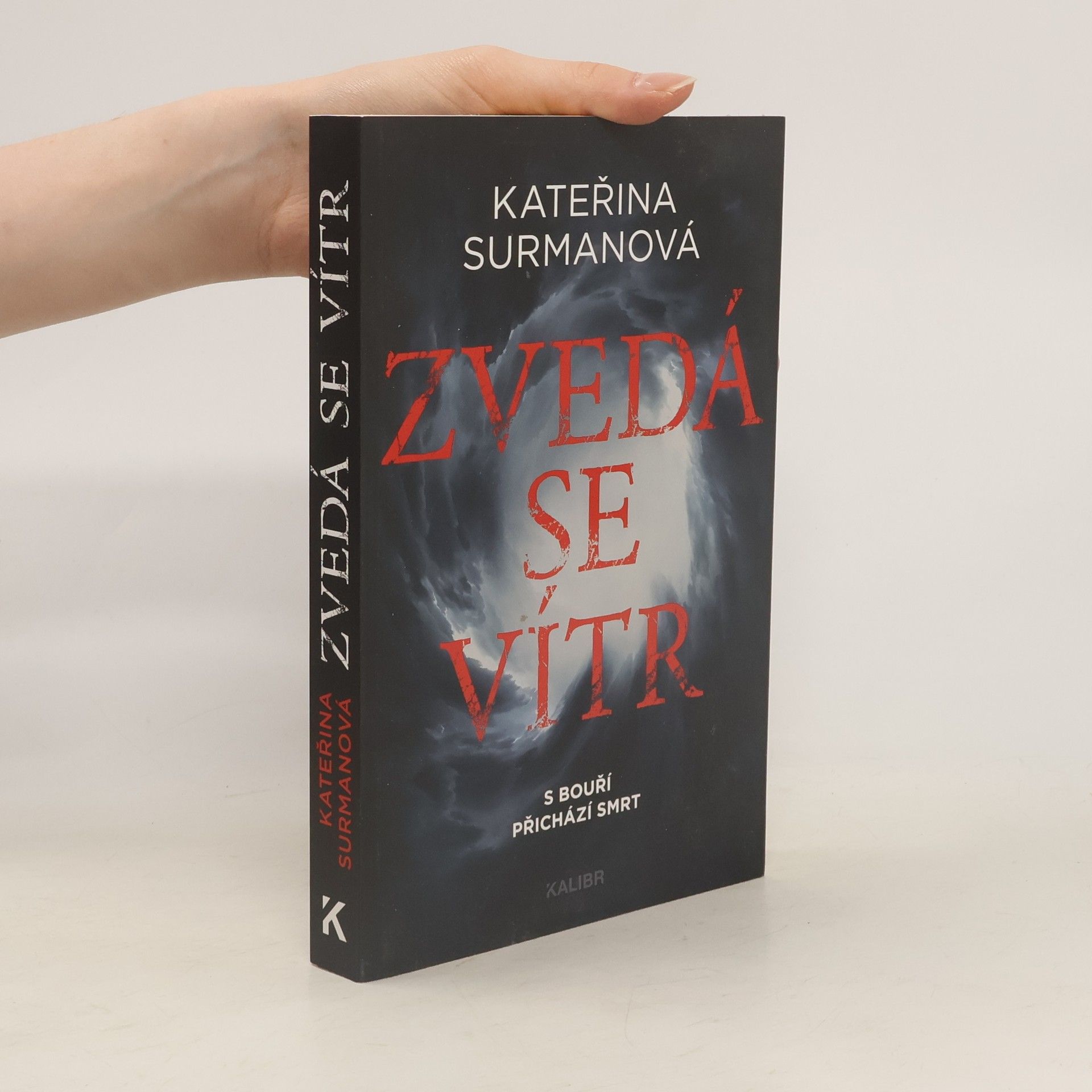 Kateřina Surmanová Zvedá se vítr