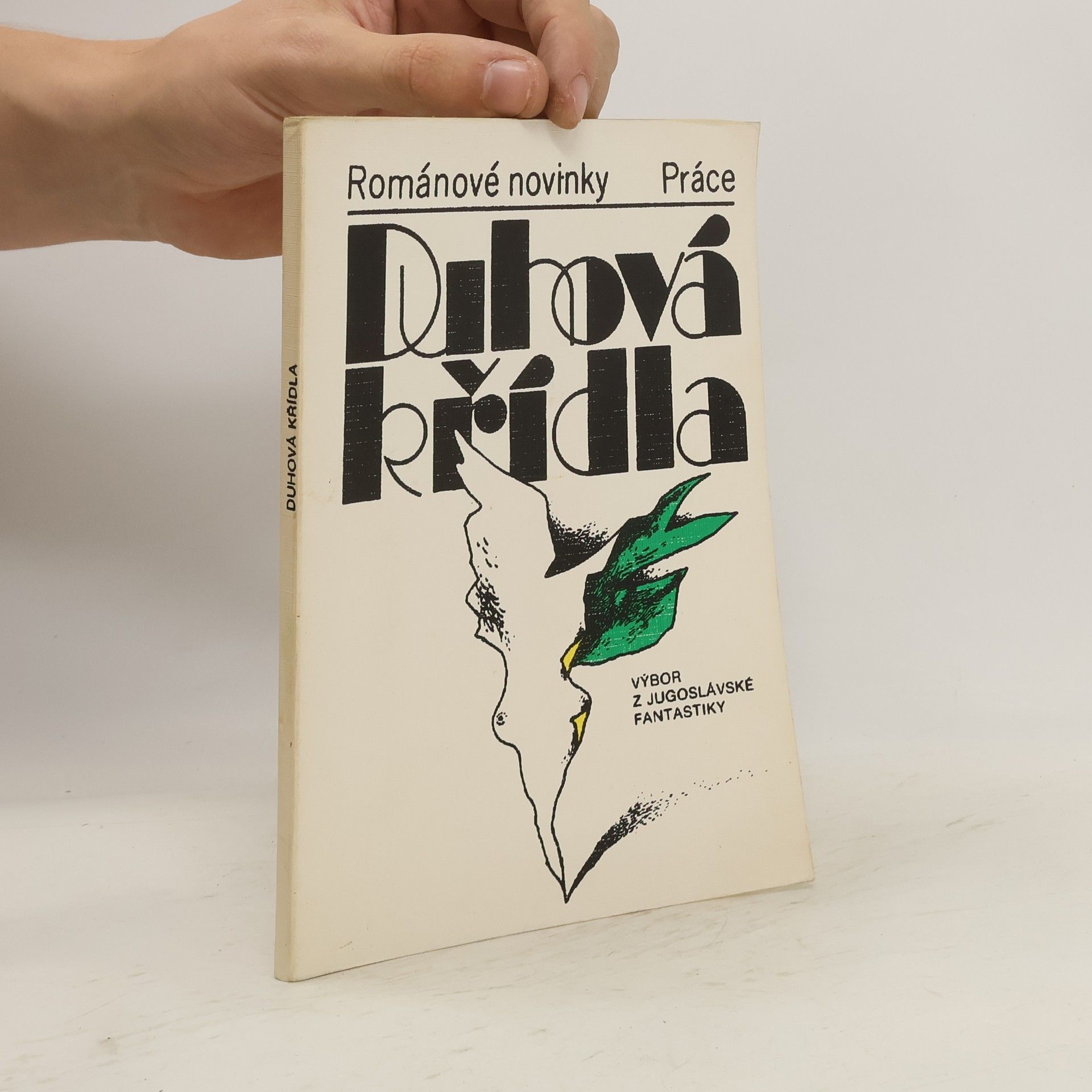 Collectif d'auteurs Duhová křídla