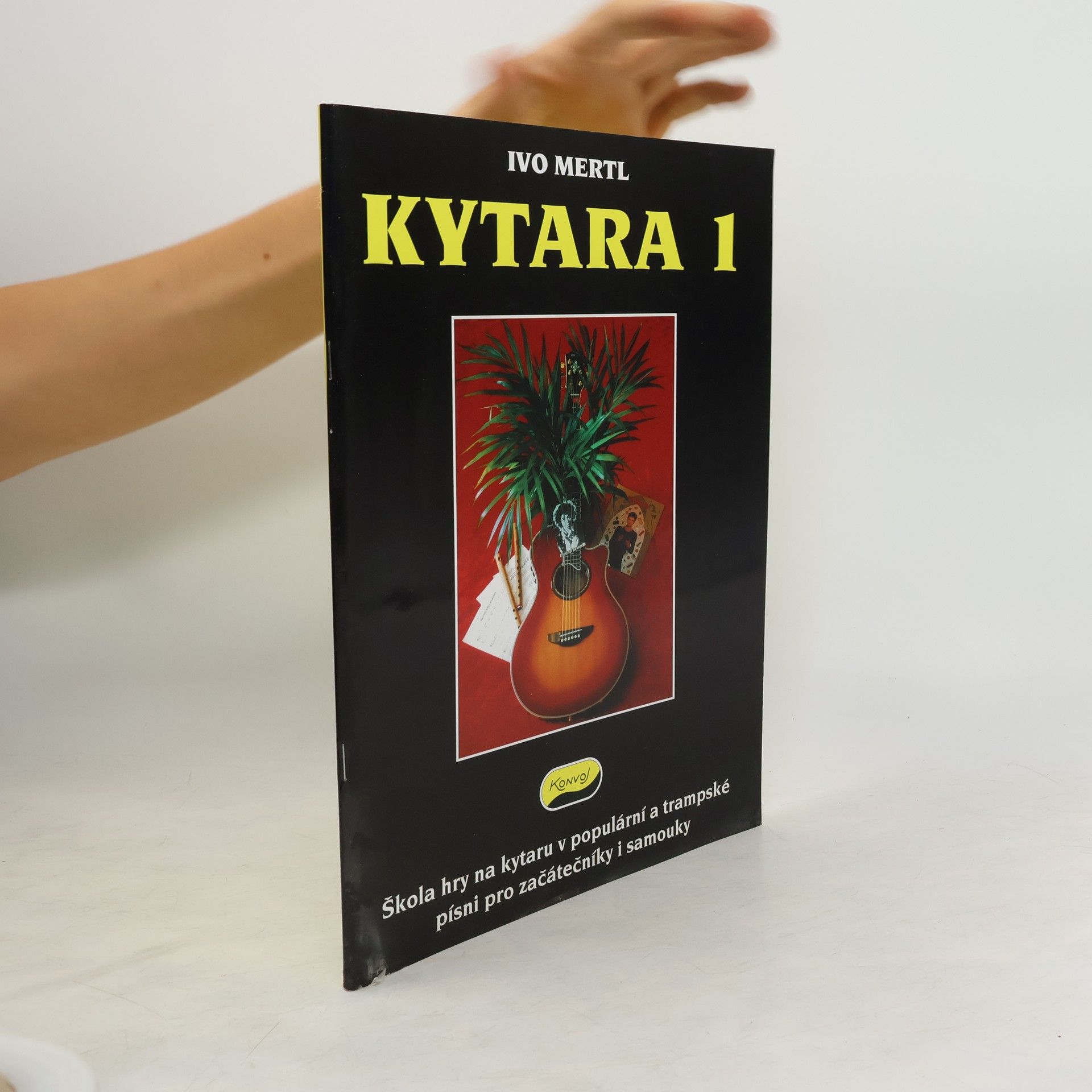 Ivo Mertl Kytara 1