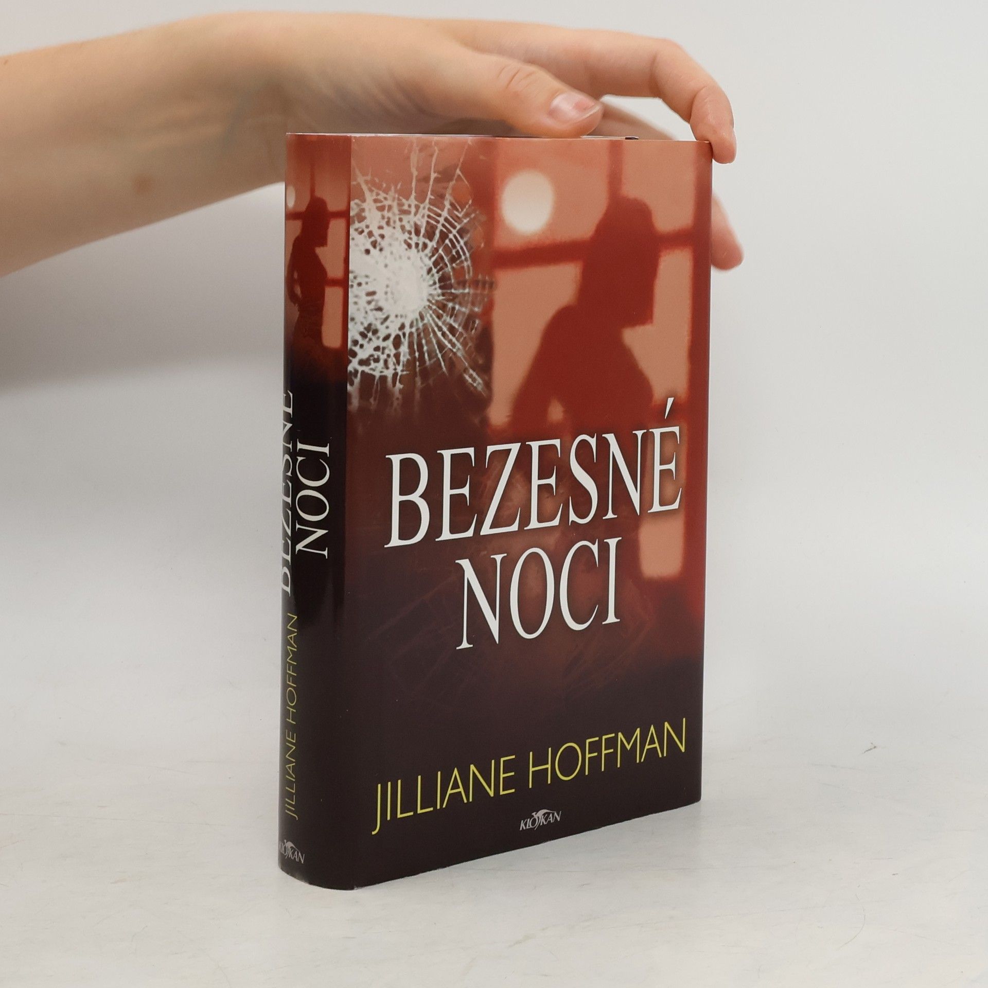 Jilliane Hoffman Bezesné noci