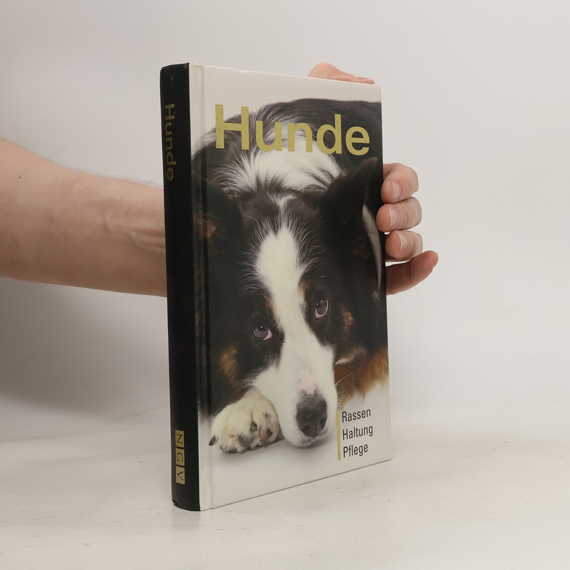 kolektiv Hunde