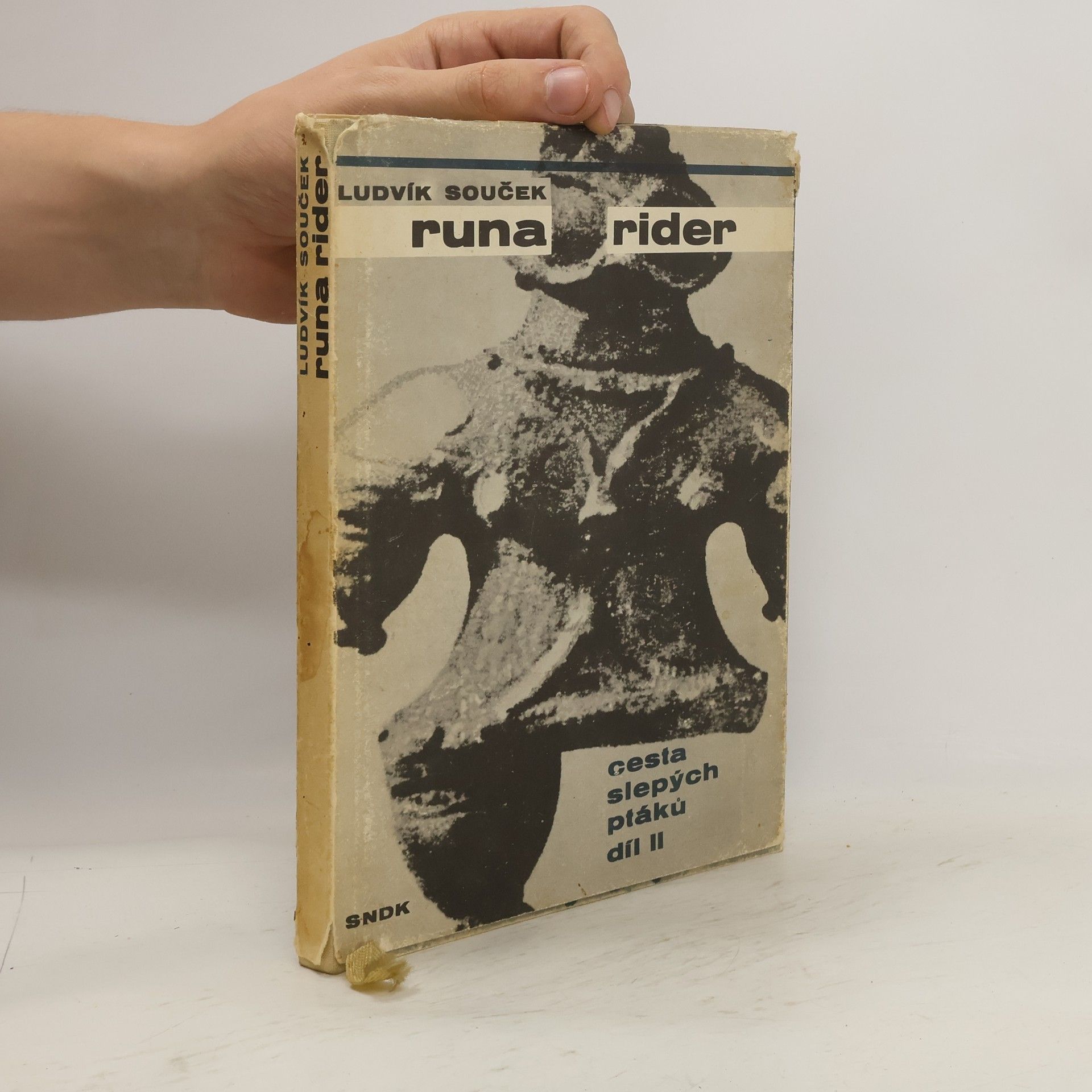 Ludvík Souček Runa rider. Cesta slepých ptáků 2