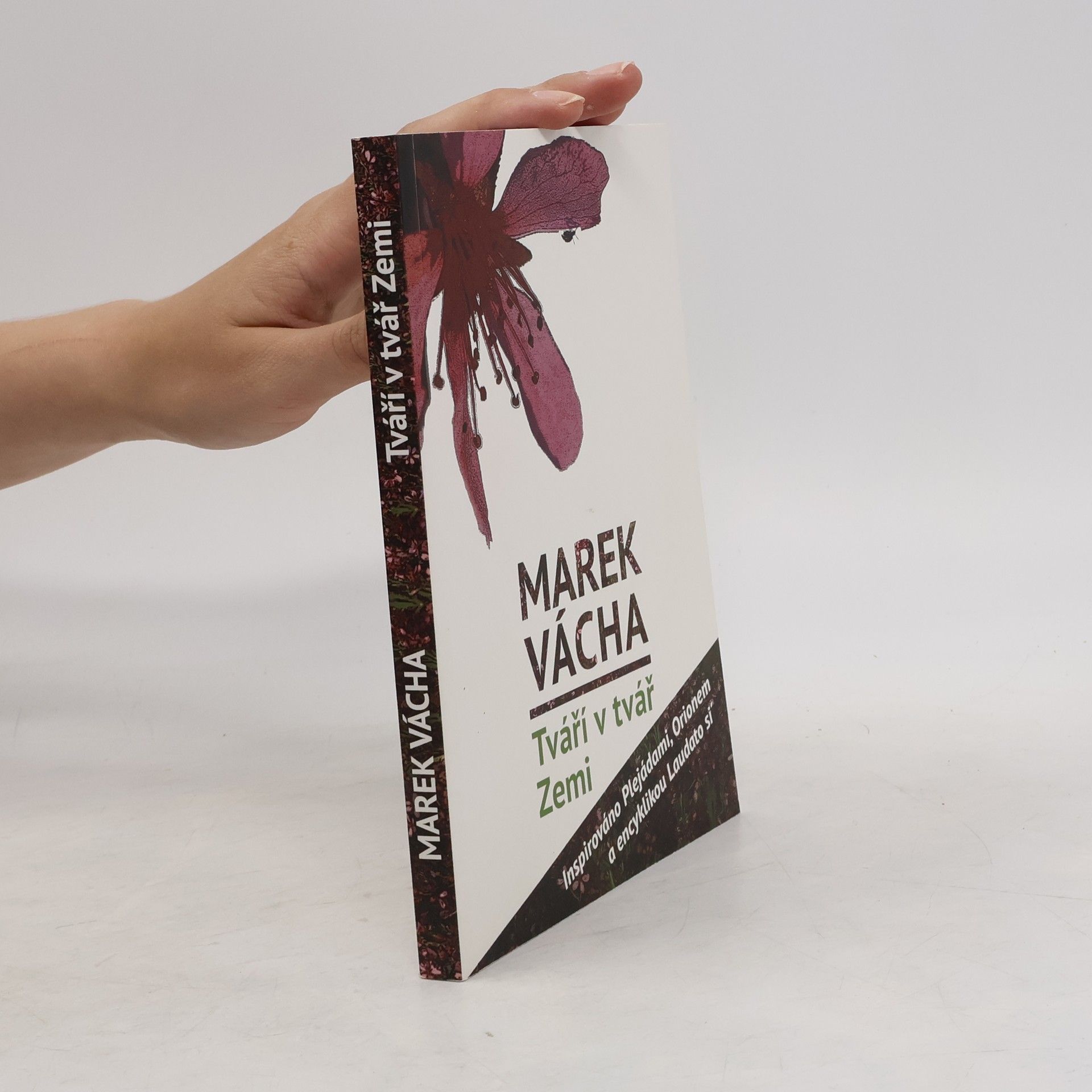 Marek Orko Vácha Tváří v tvář Zemi