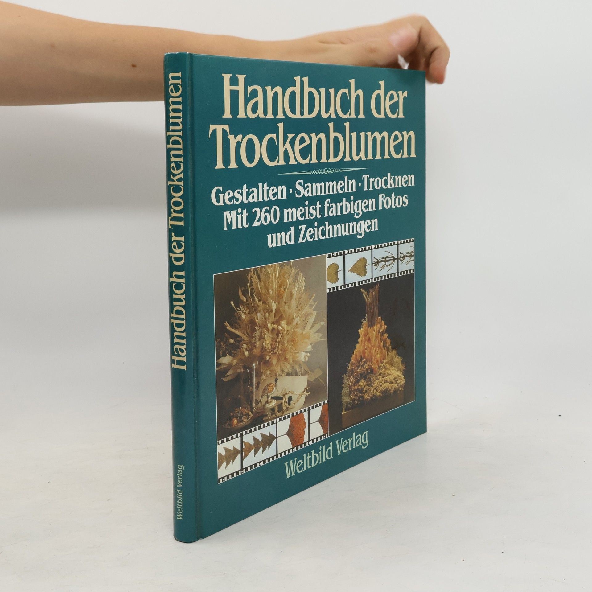 Weltbild Verlag Handbuch der Trockenblumen