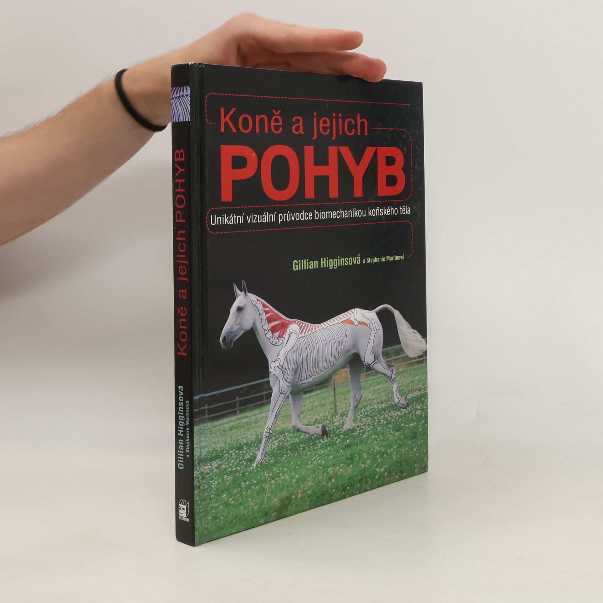Gillian Higgins Koně a jejich pohyb