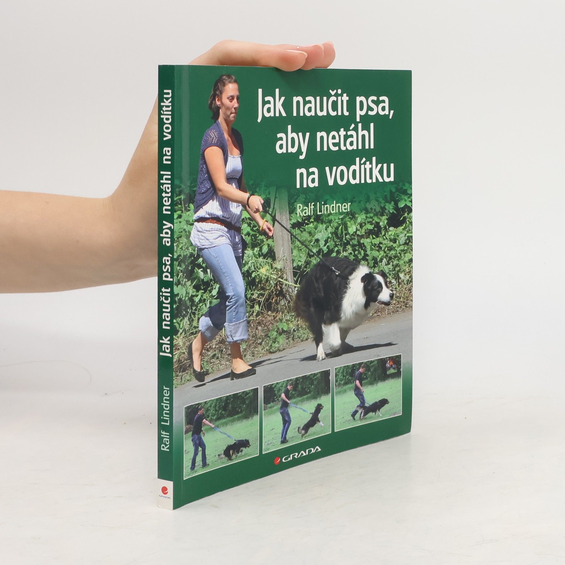 Jak naučit psa, aby netáhl na vodítku