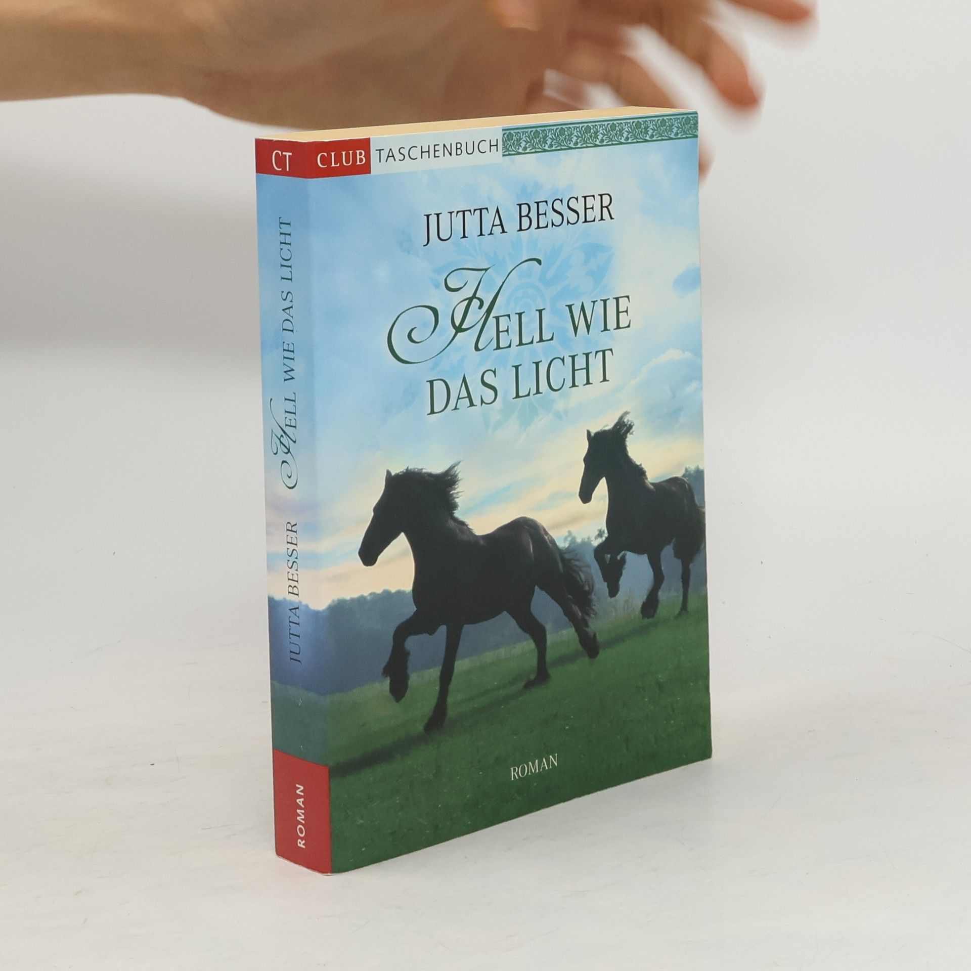 Jutta Besser Hell wie das Licht