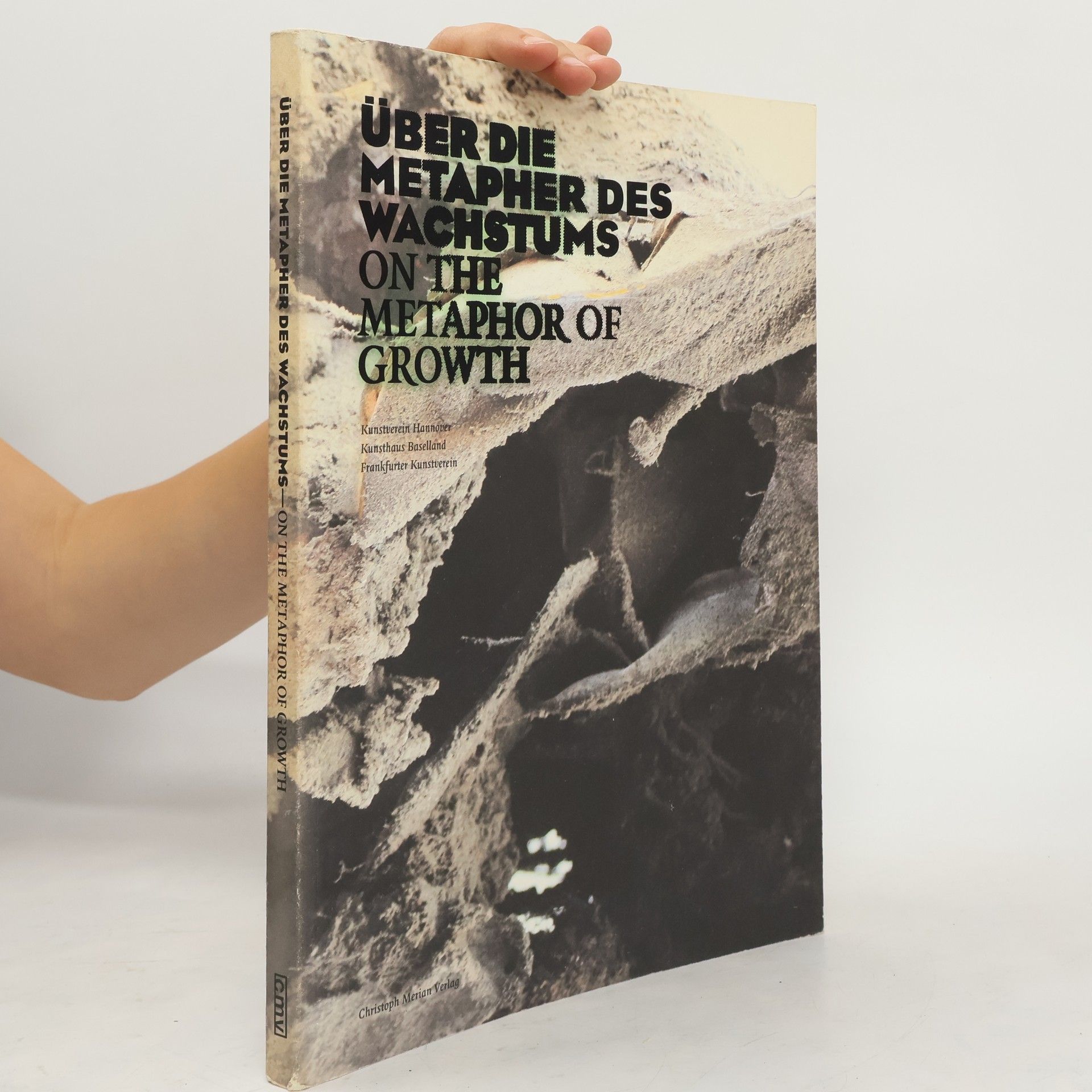 Rene Zechlin Über die Metapher des Wachstums