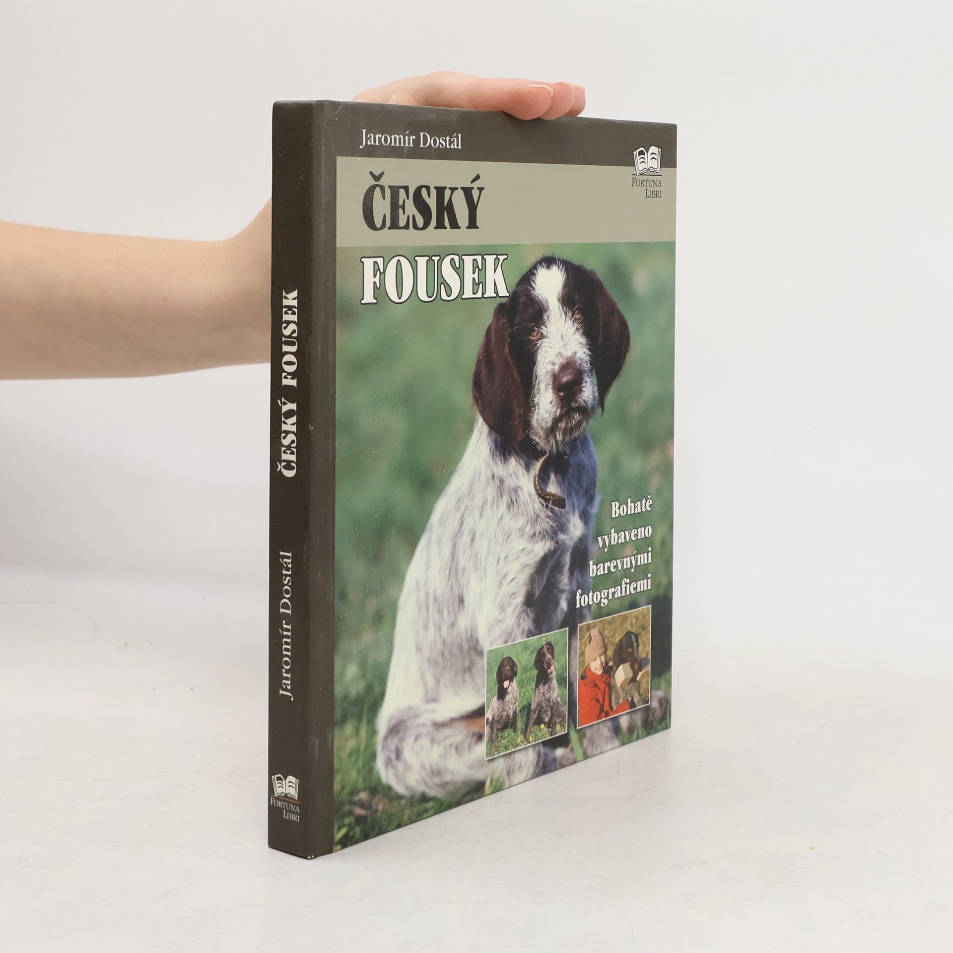 Jaromír Dostál Český fousek