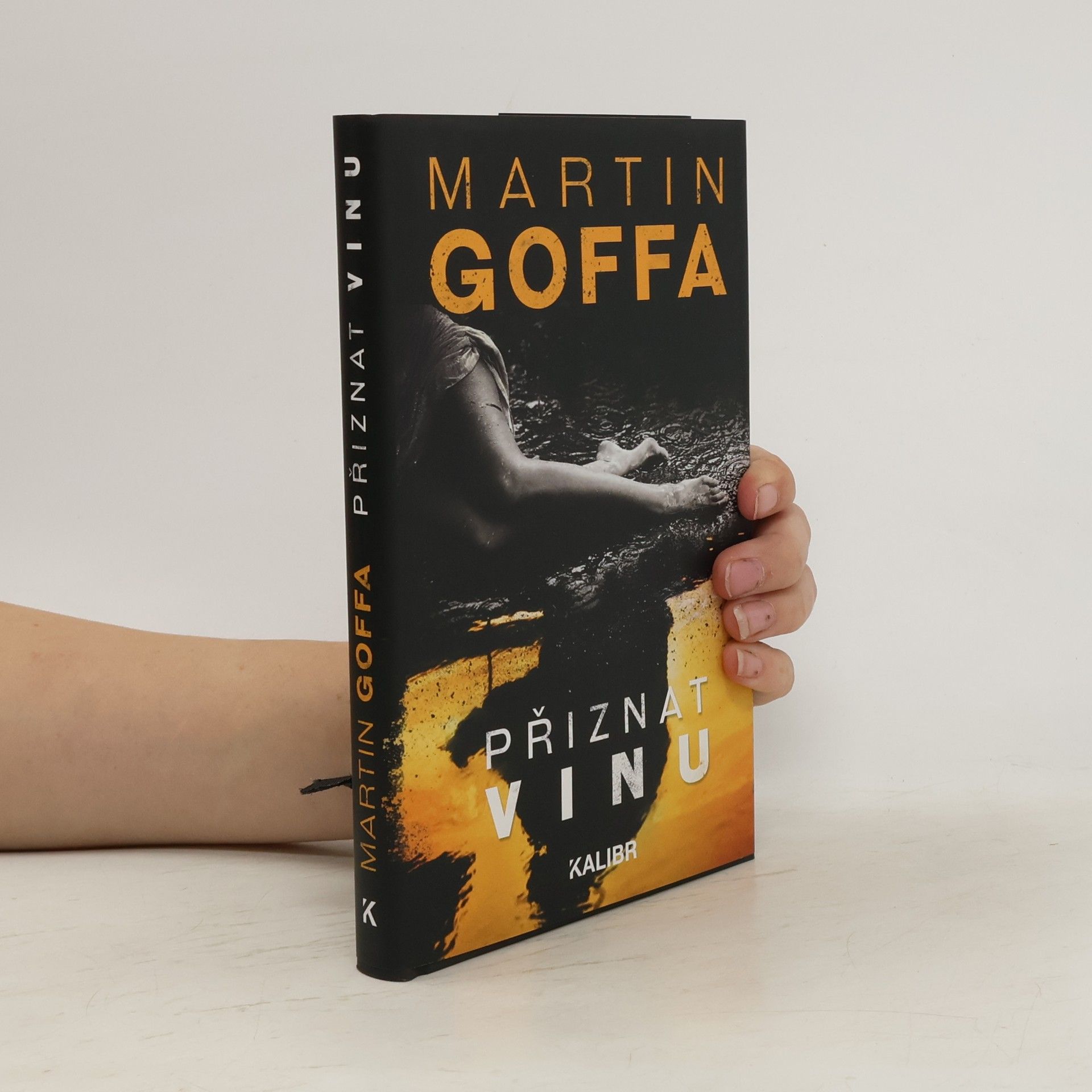 Martin Goffa Přiznat vinu