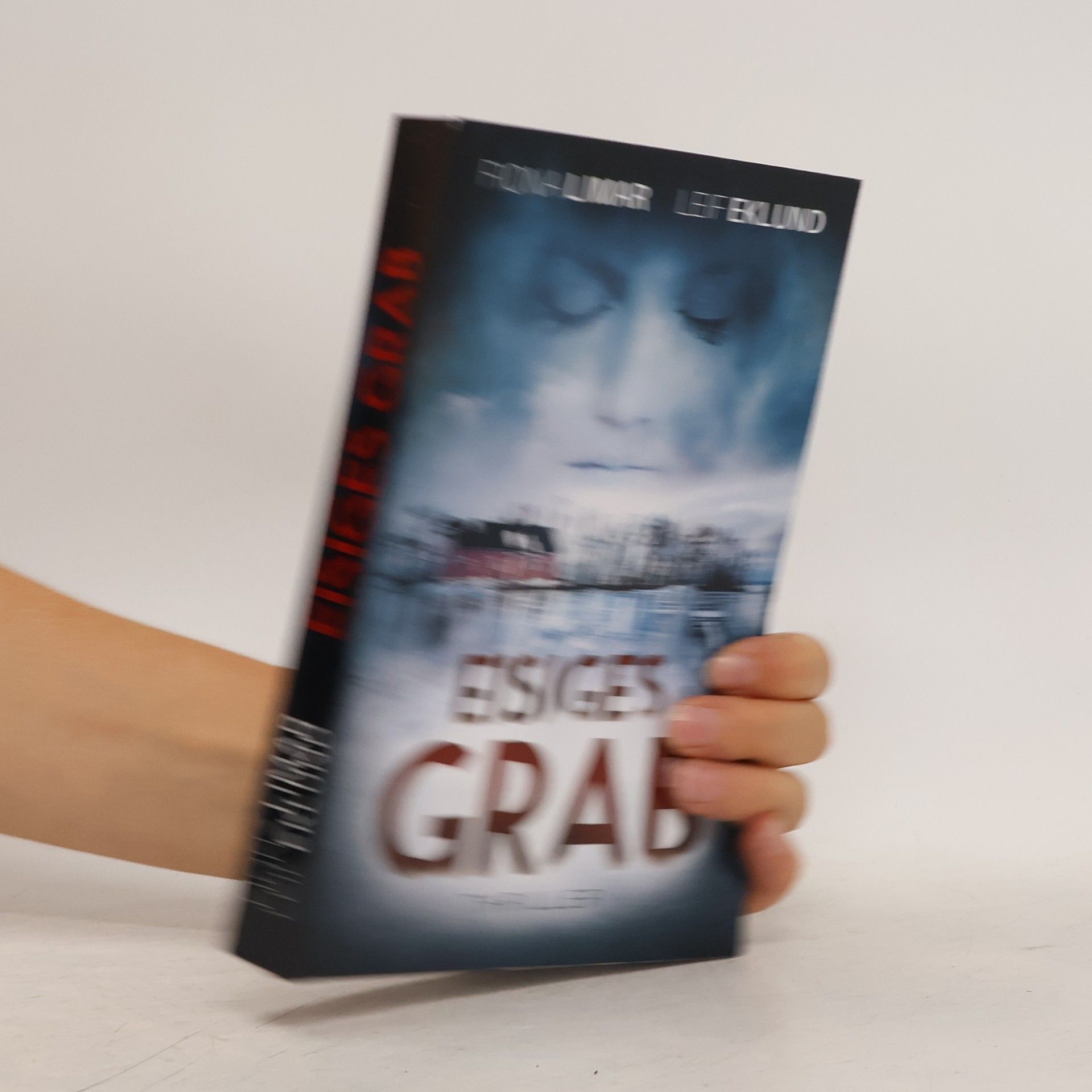 Fiona Limar Eisiges Grab