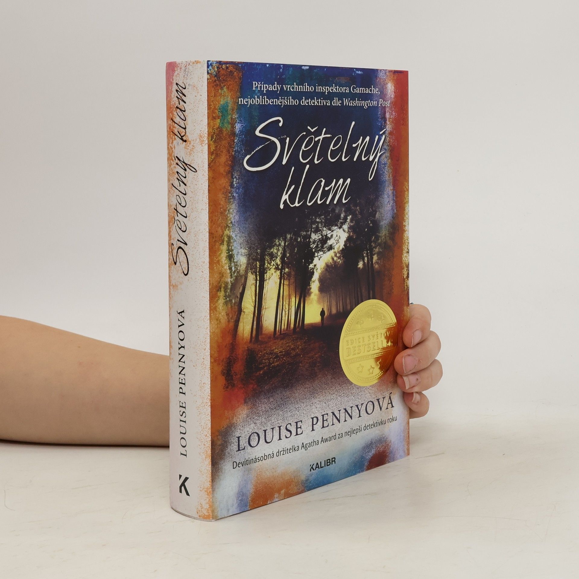 Louise Penny Světelný klam