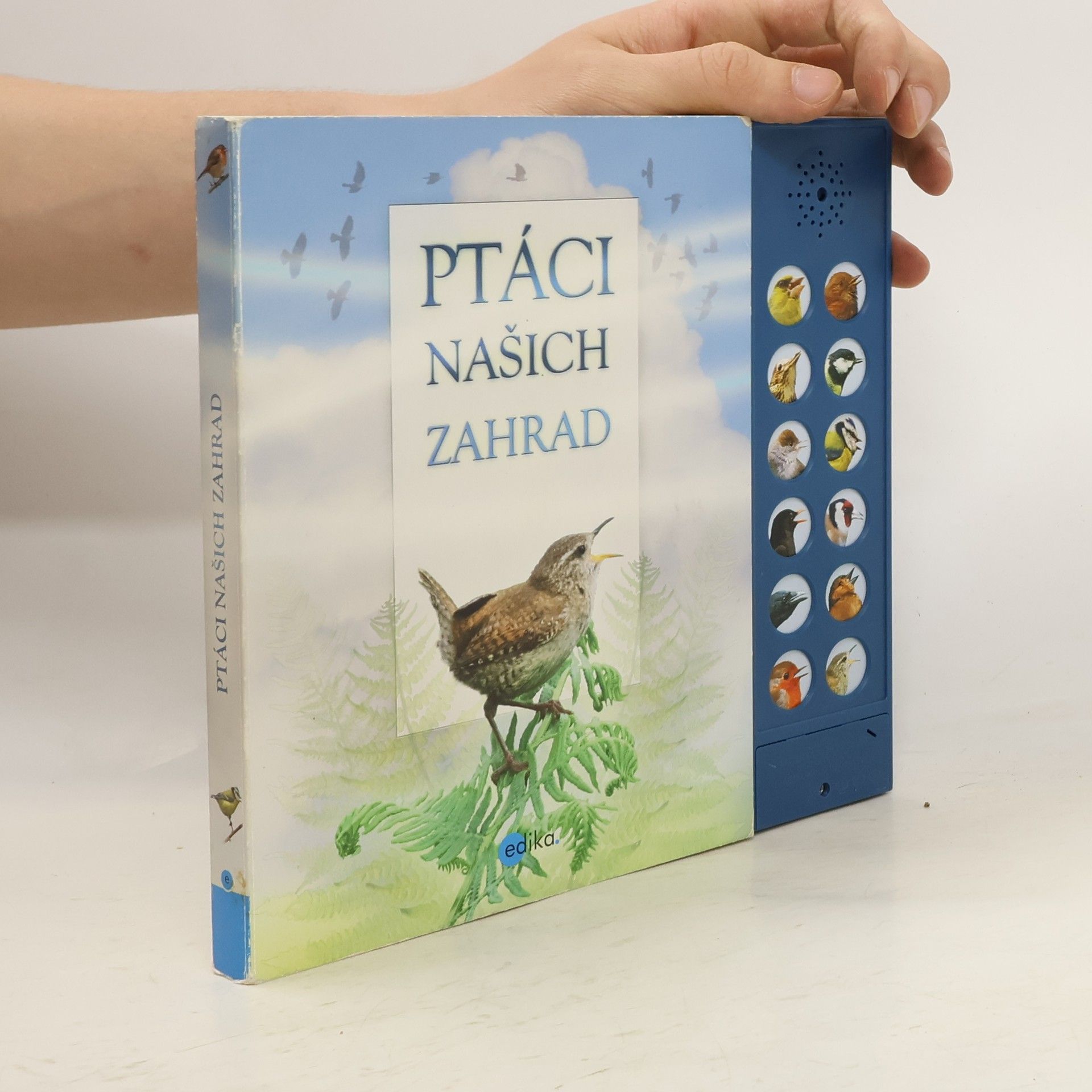 Andrea Pinnington Ptáci našich zahrad