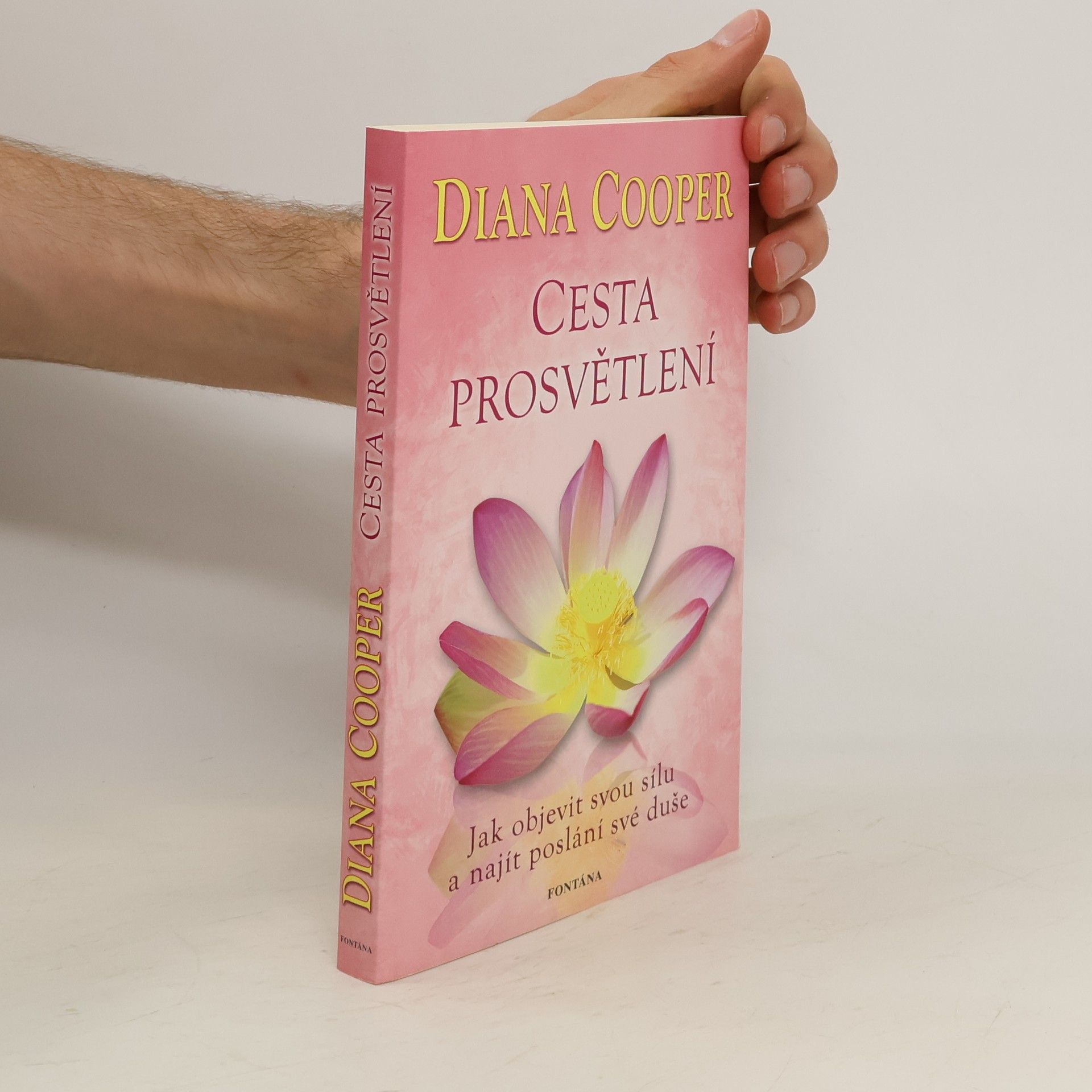 Diana Cooper Cesta prosvětlení : jak objevit svou sílu a najít poslání své duše