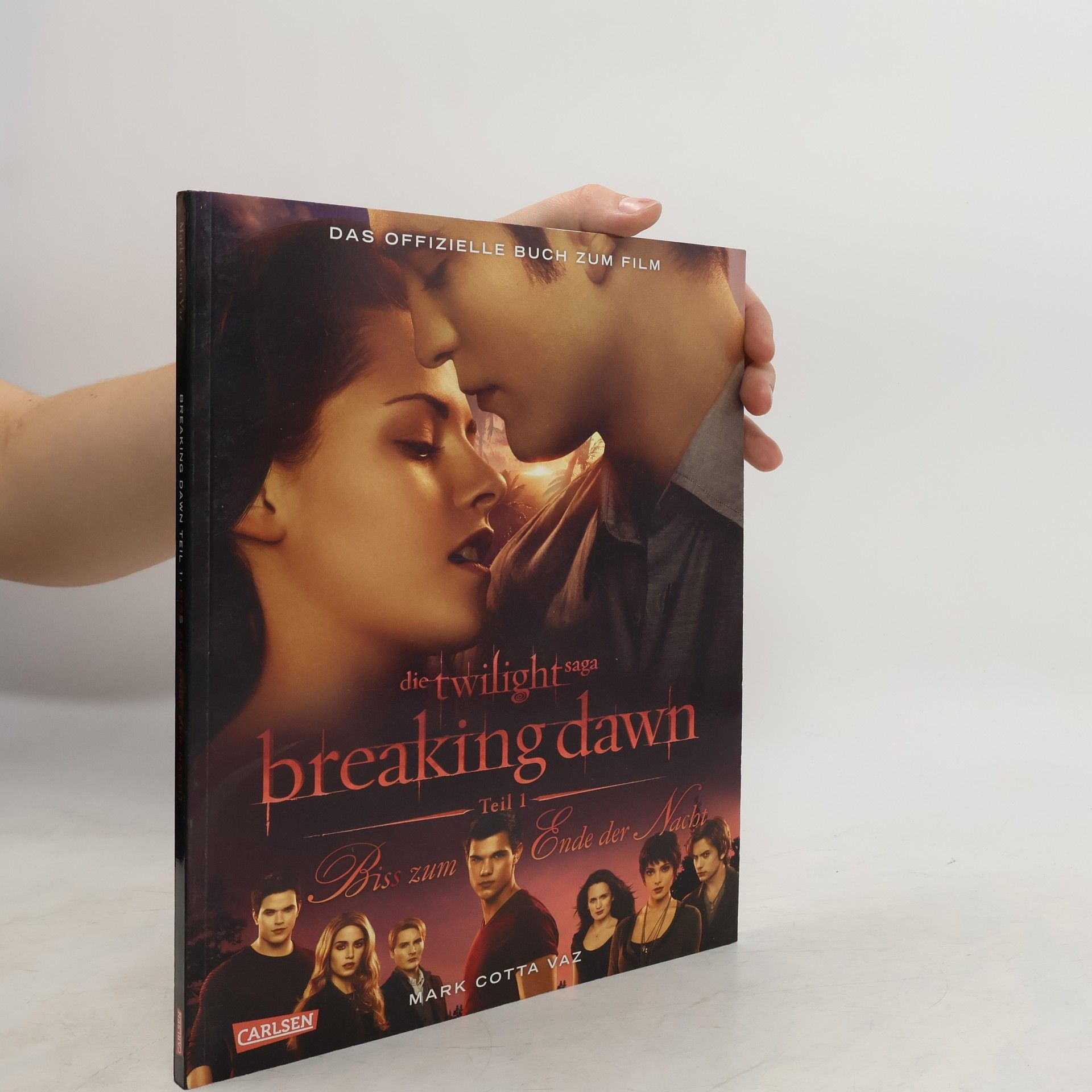 Autorenkollektiv Breaking dawn