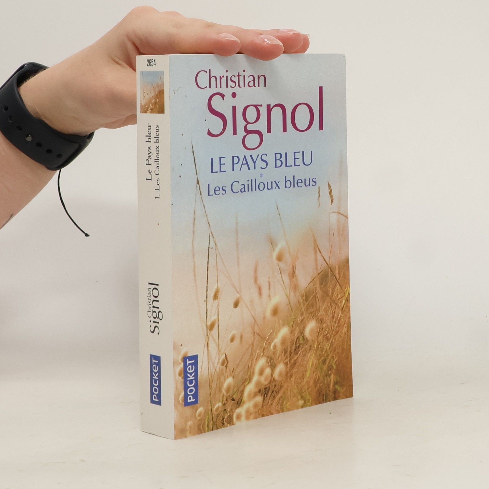 Christian Signol Les cailloux bleus
