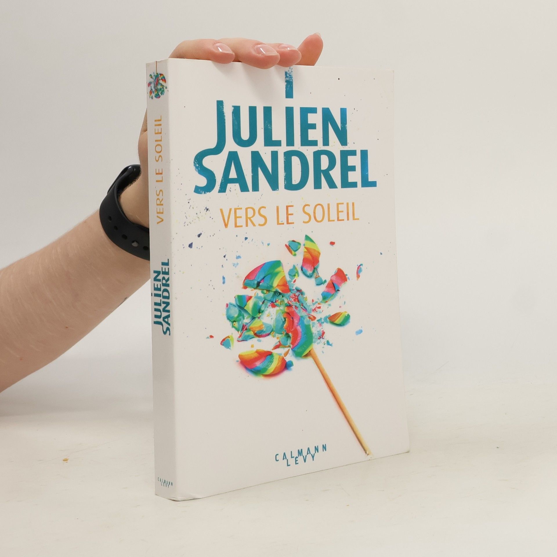 Julien Sandrel Vers le soleil